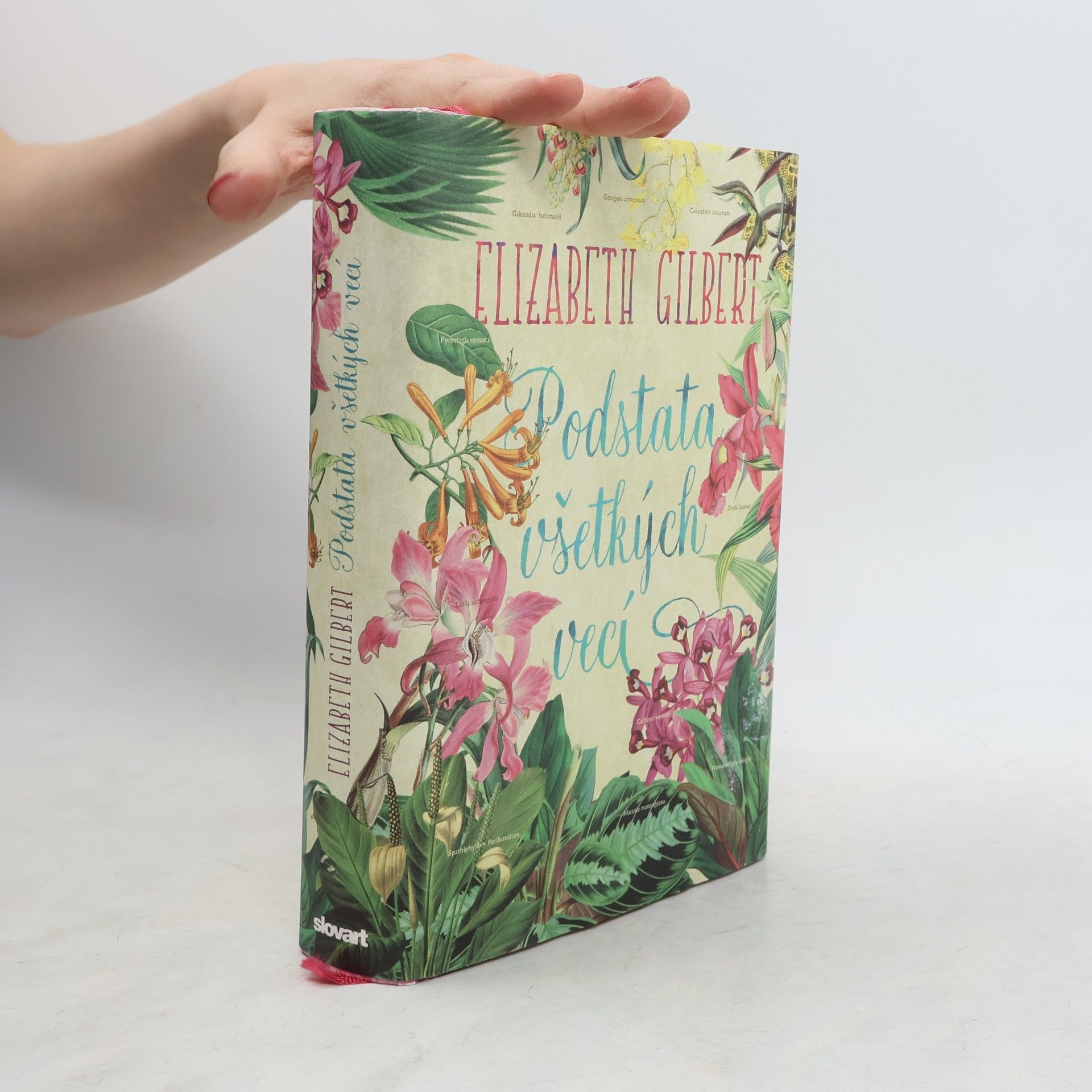 Elizabeth Gilbert Podstata všetkých vecí
