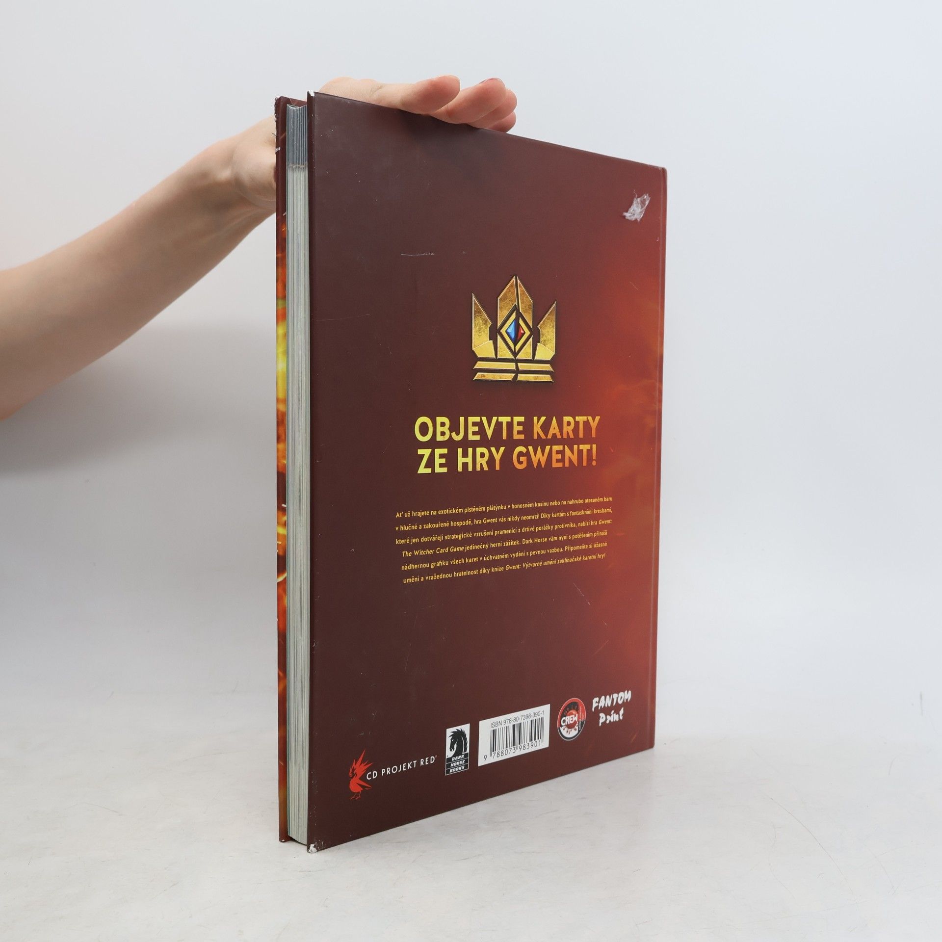 Filip Ženíšek Gwent: Výtvarné umění zaklínačské karetní hry