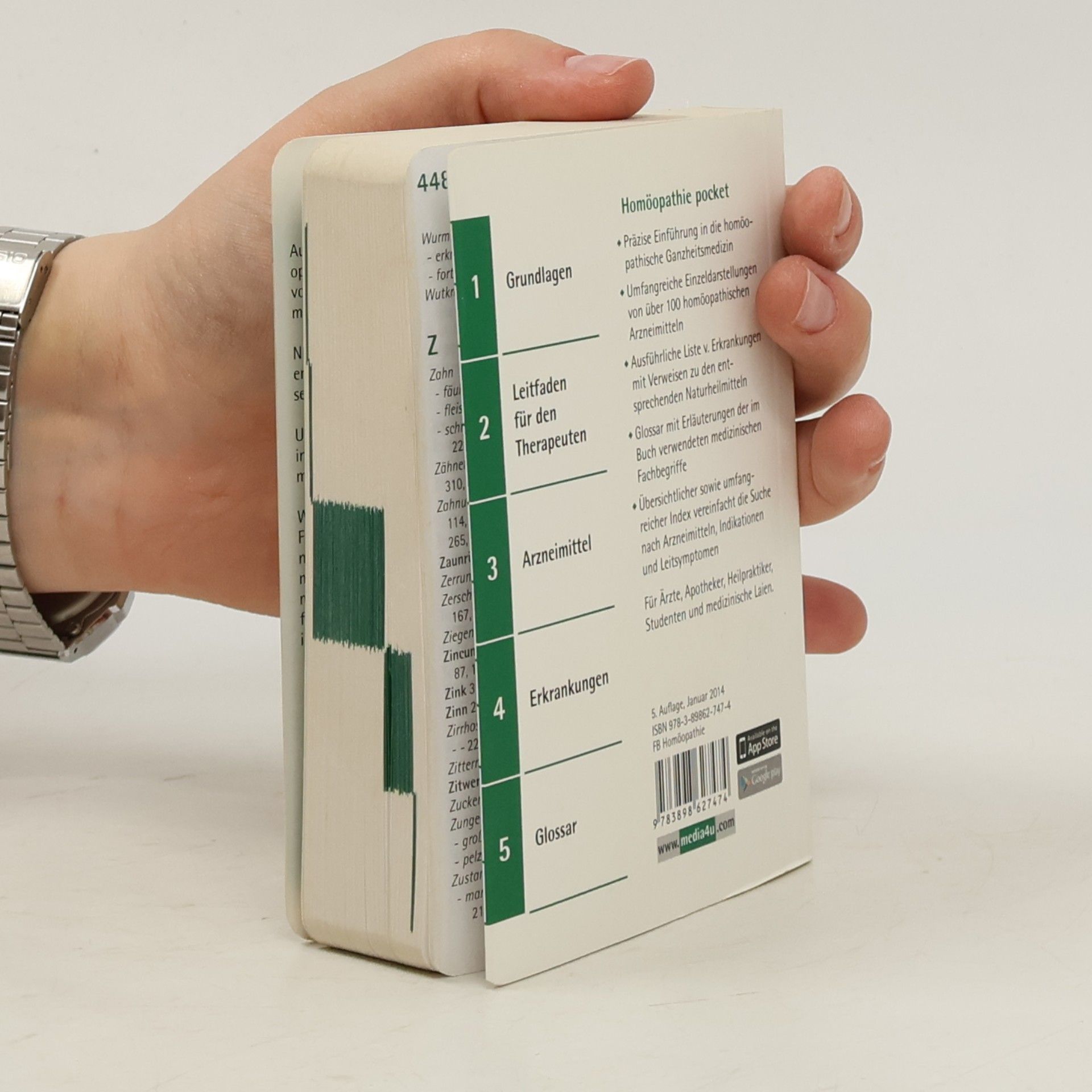 Almut Brandl Homöopathie pocket