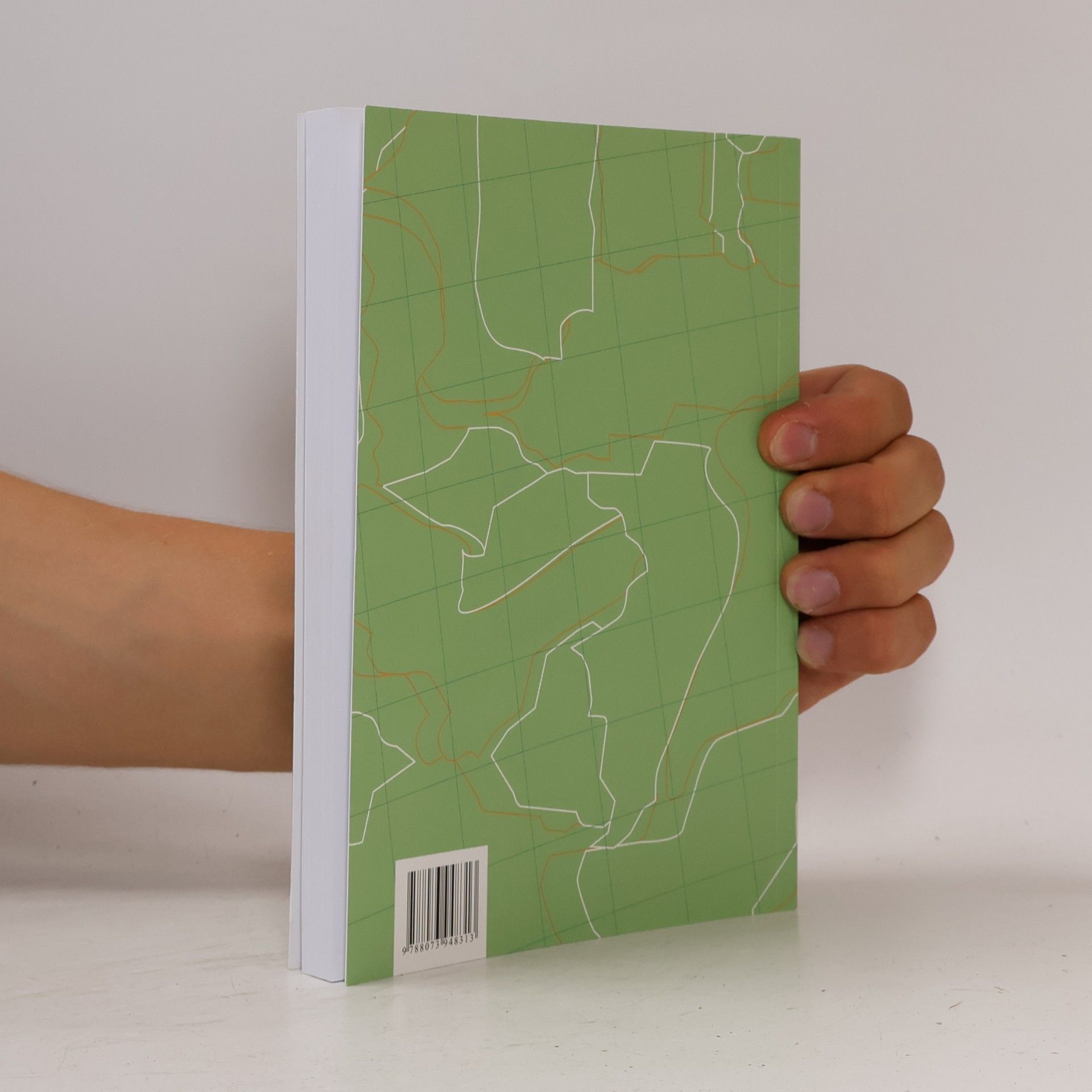 Dagmar Škodová Parmová Regions in Context II.