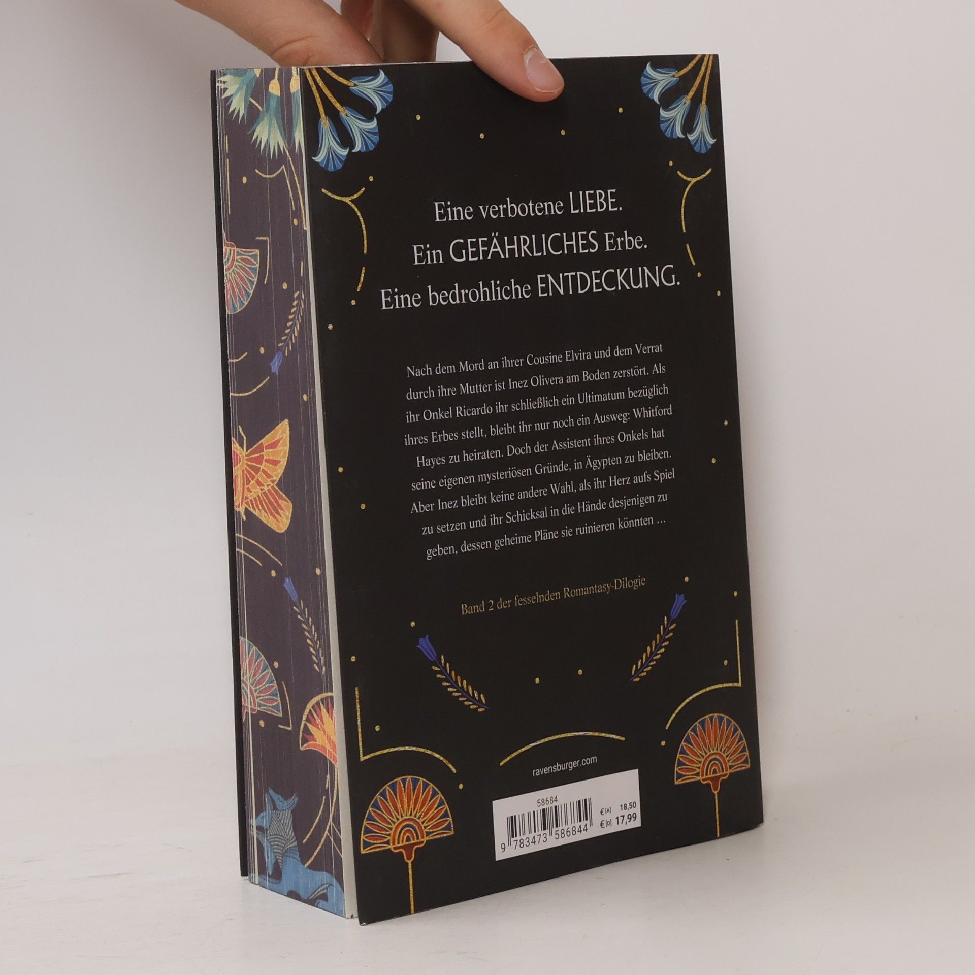Isabel Ibañez Where the Library Hides