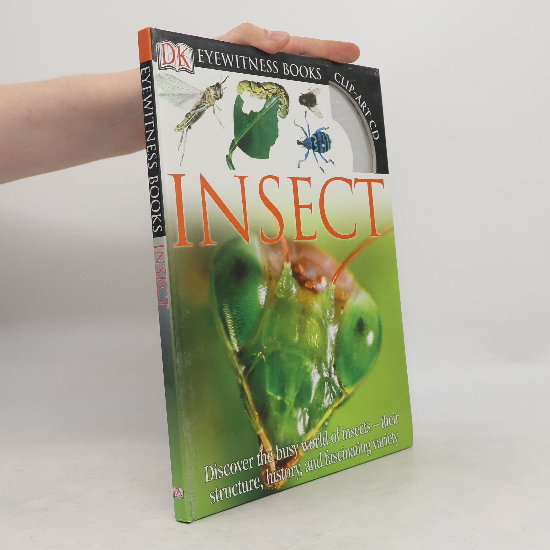 Laurence Mound Insect