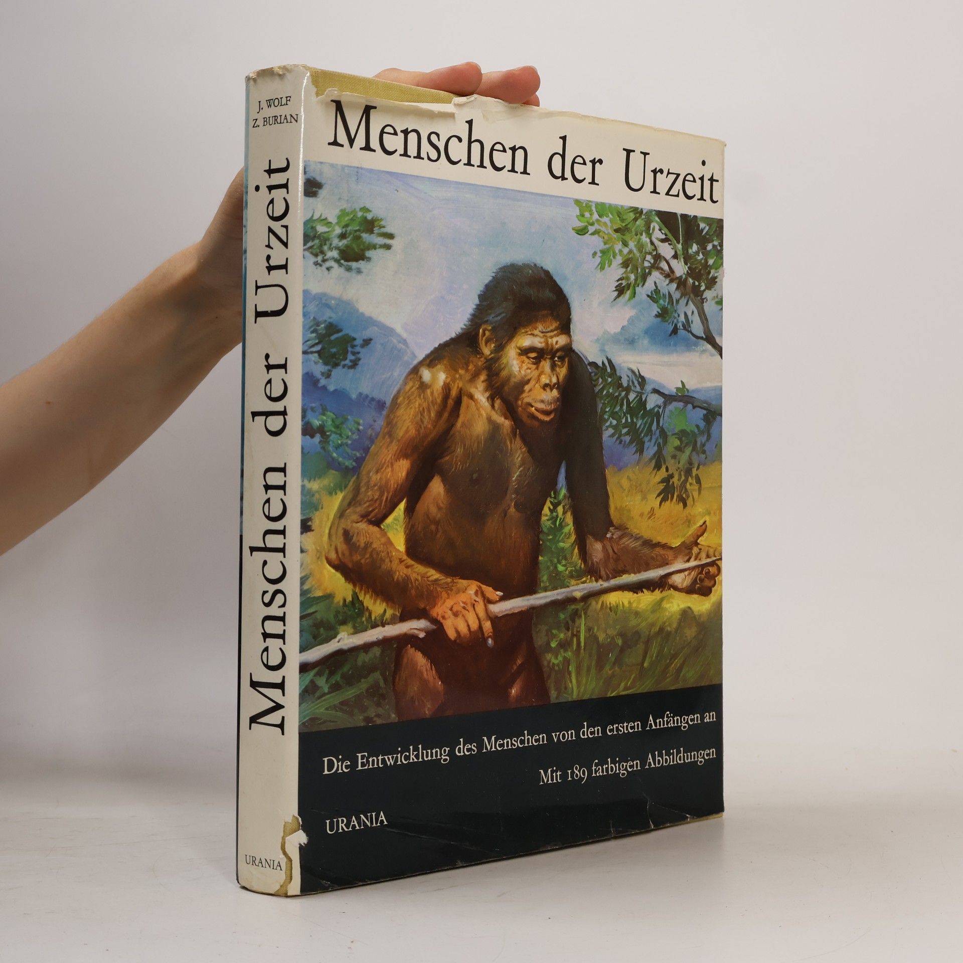 Autorenkollektiv Menschen der Urzeit