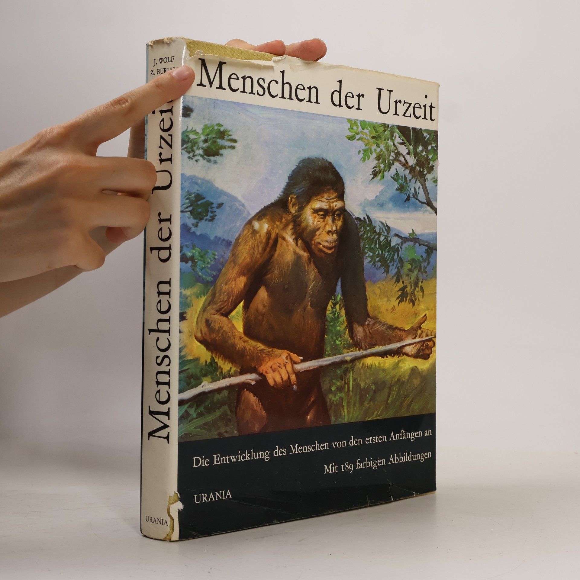 Autorenkollektiv Menschen der Urzeit