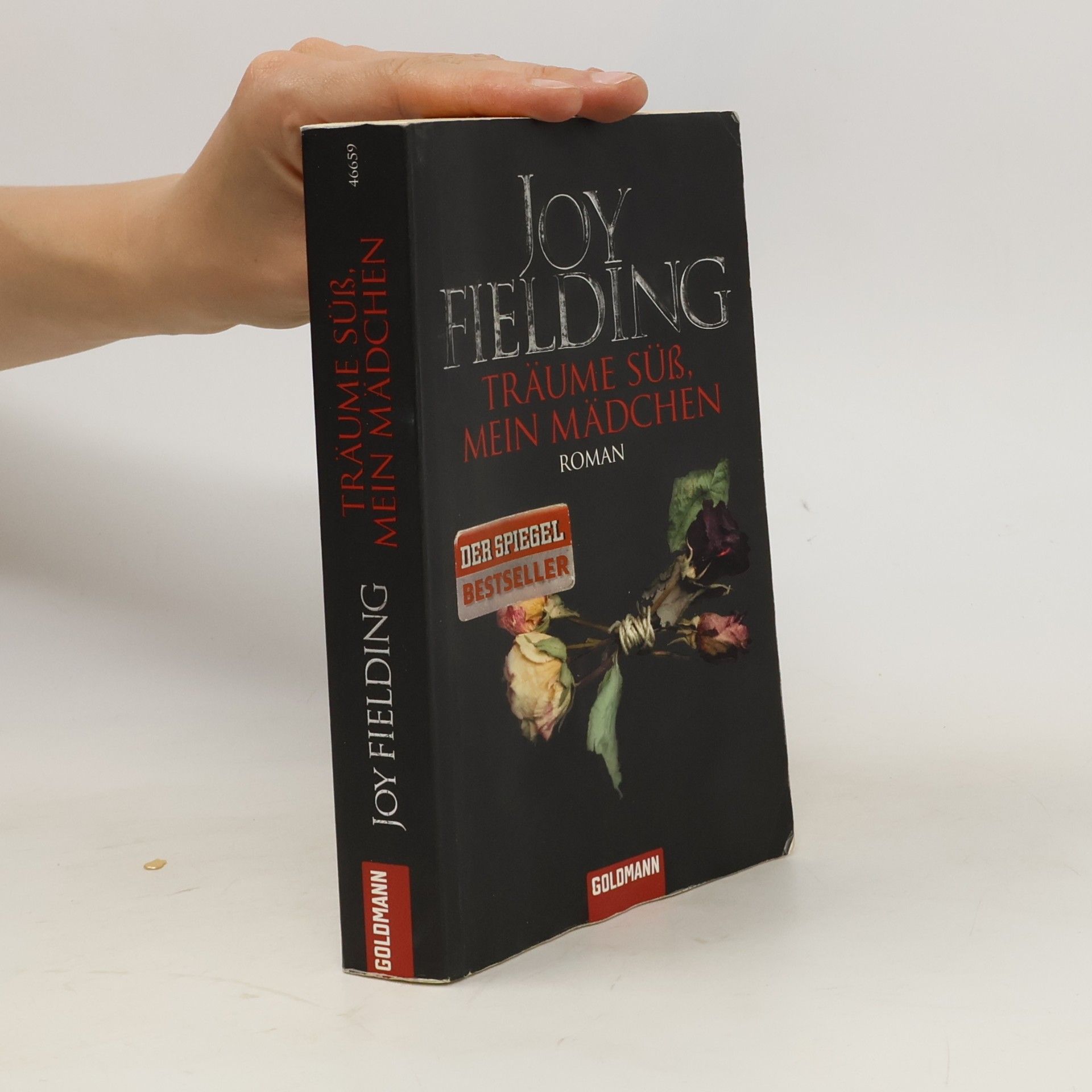 Joy Fielding Träume süss, mein Mädchen