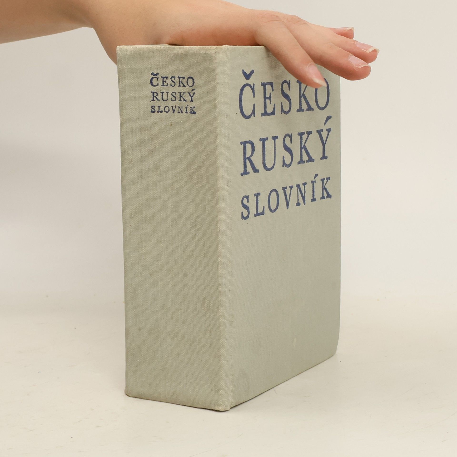 Autorenkollektiv Česko-ruský slovník