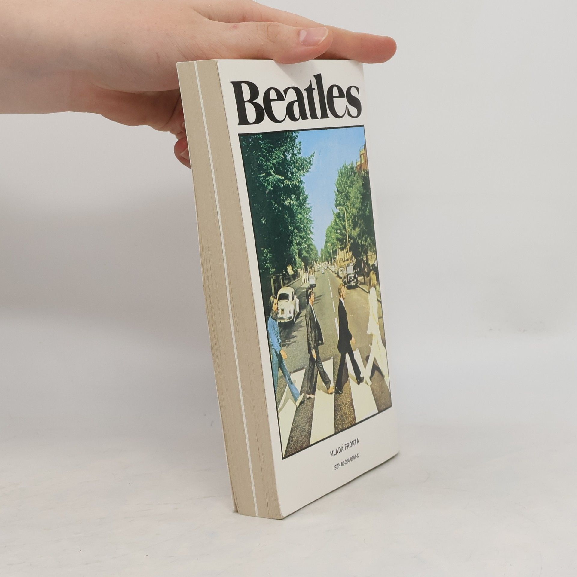 Antonín Matzner Beatles. Výpověď o jedné generaci