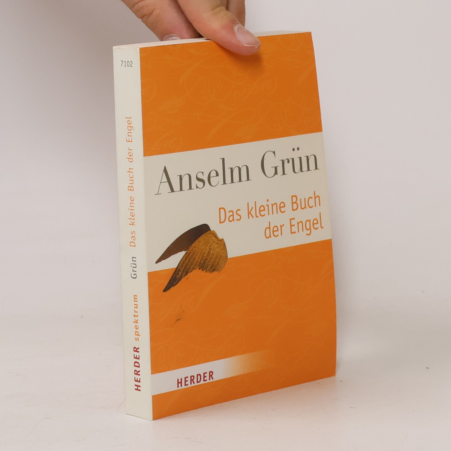 Anselm Grün Das kleine Buch der Engel