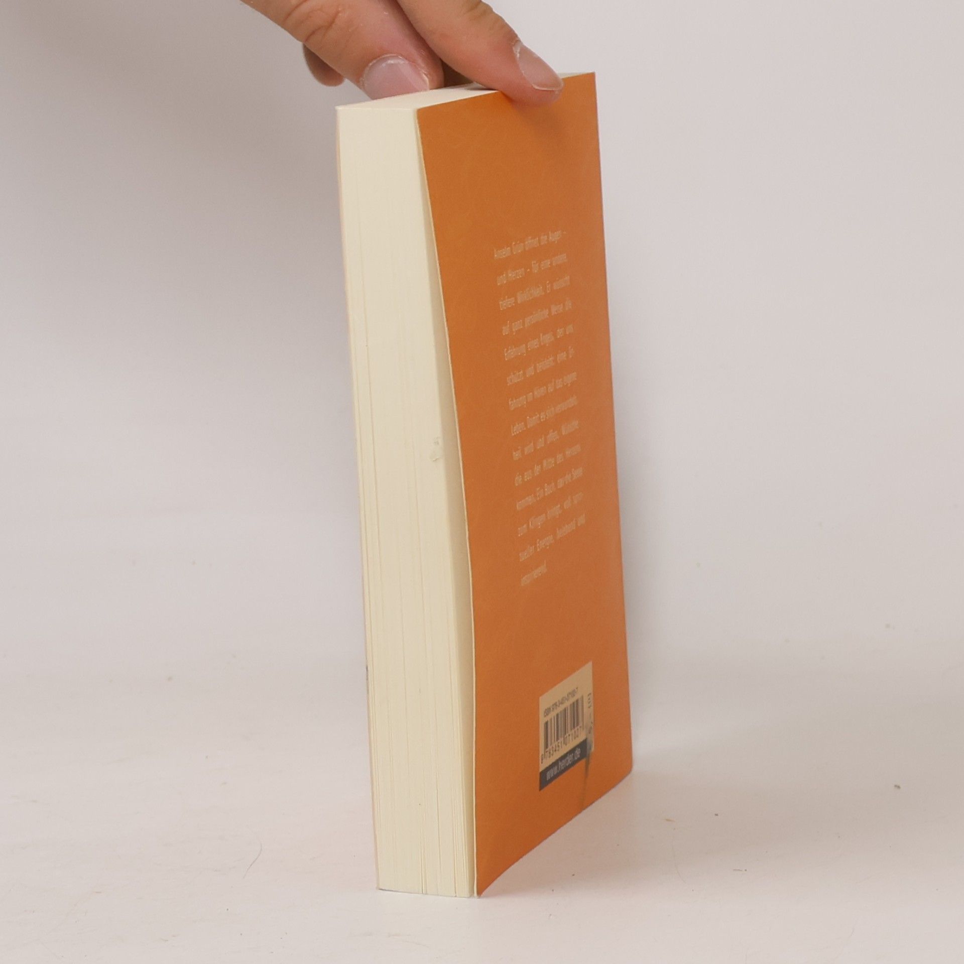 Anselm Grün Das kleine Buch der Engel