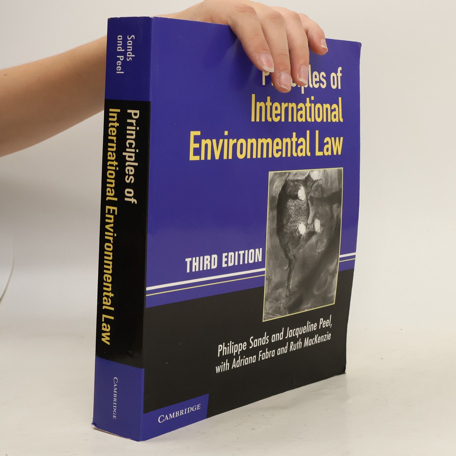 Principles of International Environmental Law