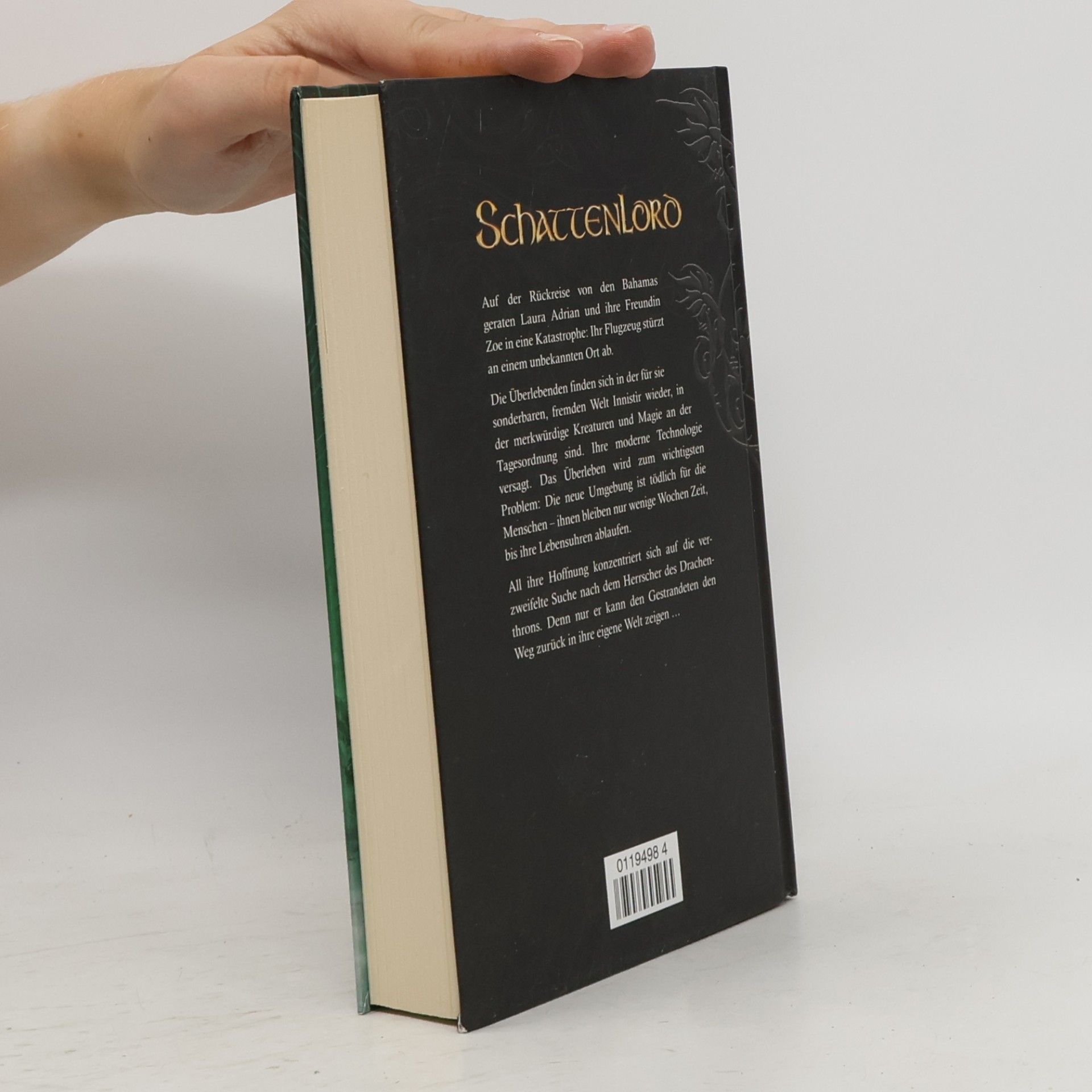 Claudia Kern Schattenlord. Herrscher des Drachenthrons