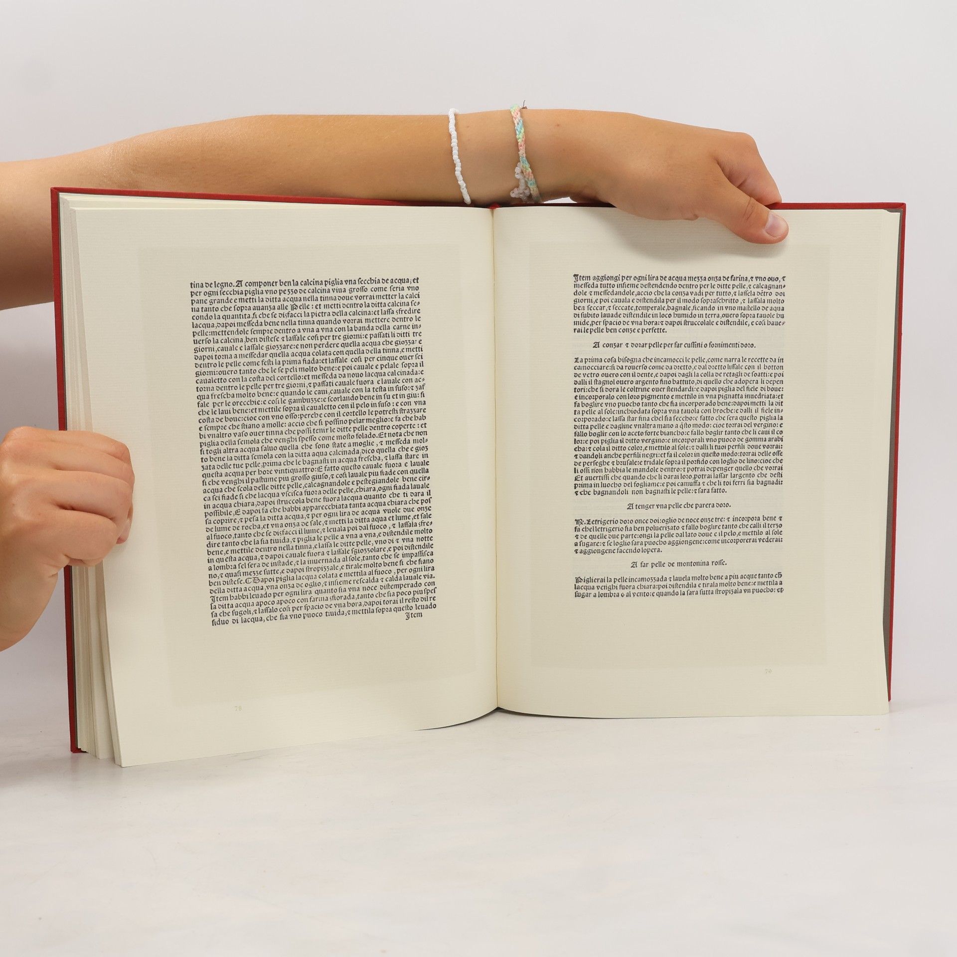 Sidney M. Edelstein The Plictho of Gioanventura Rosetti