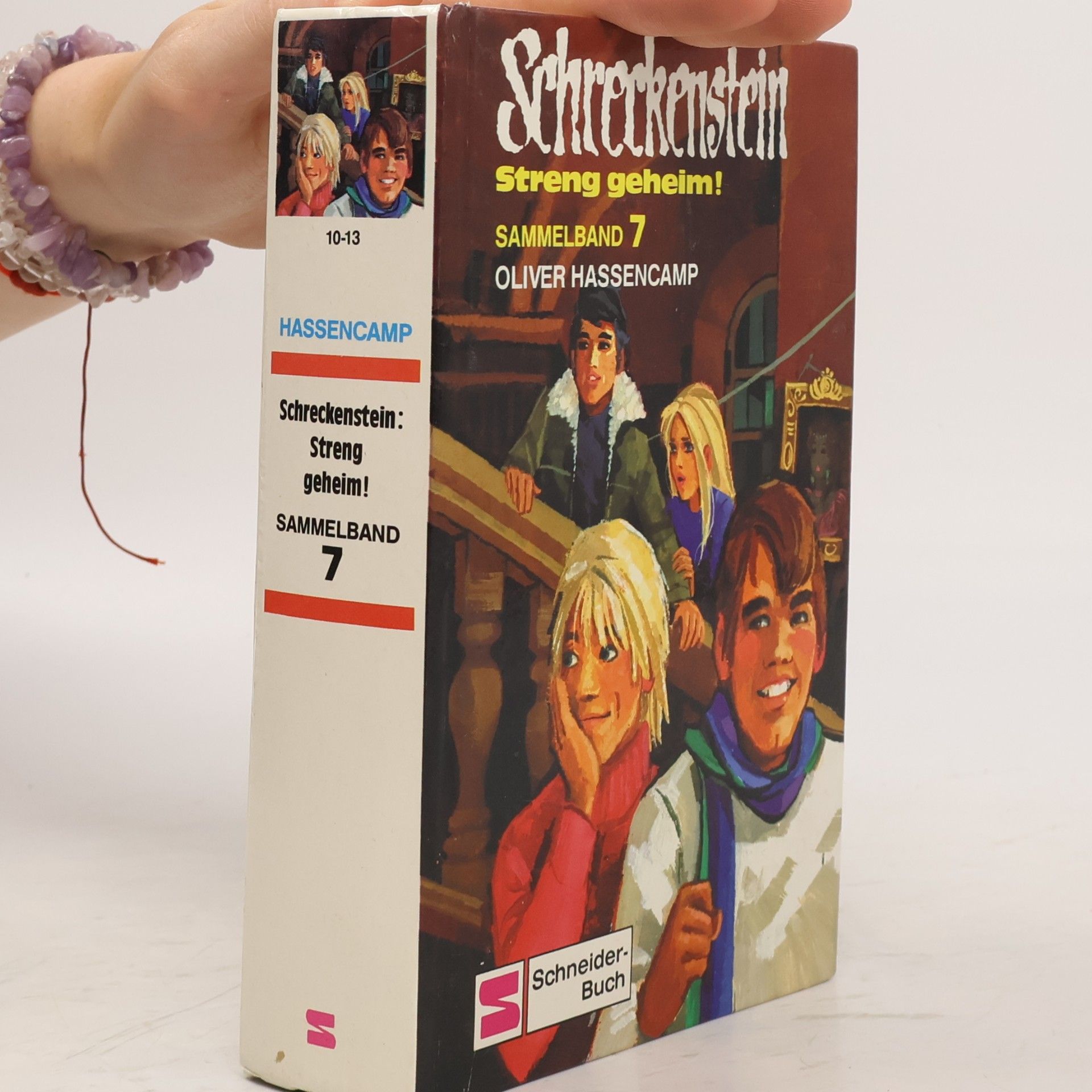 Oliver Hassencamp Schreckenstein - Streng geheim!