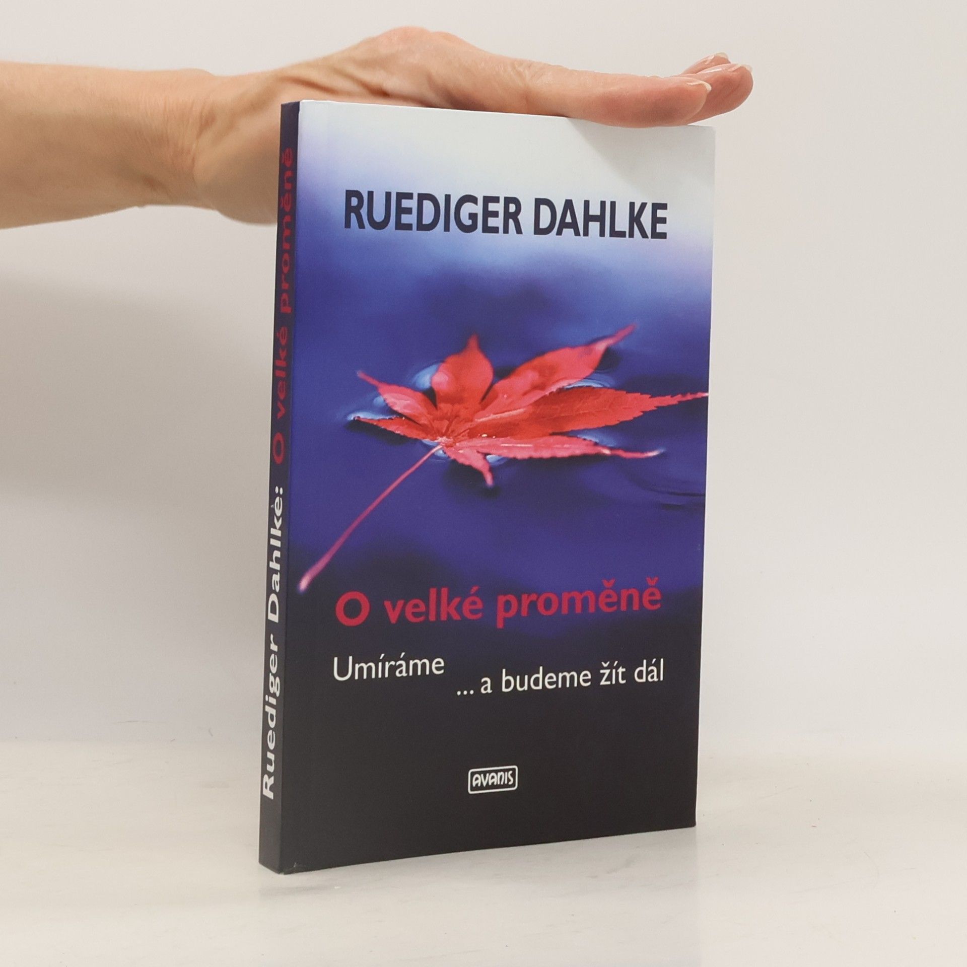 Andrea Platznerová Kočka v blázinci