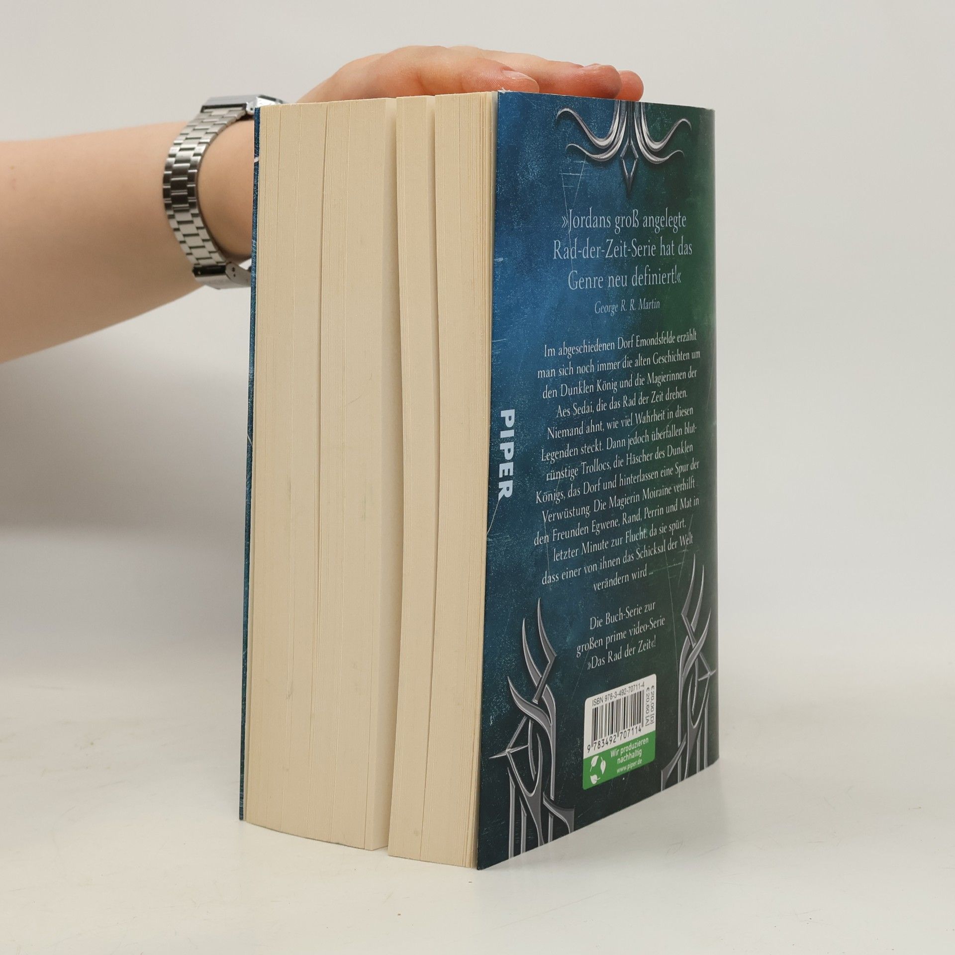Robert Jordan Das Rad der Zeit: Die Suche nach dem Auge der Welt