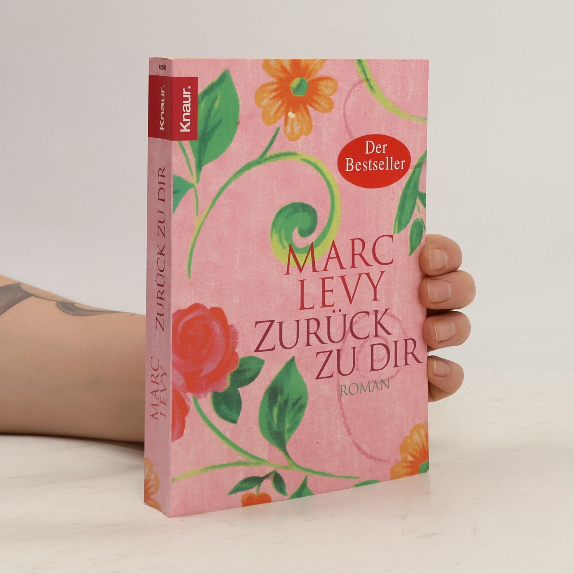 Marc Lévy Zurück zu dir