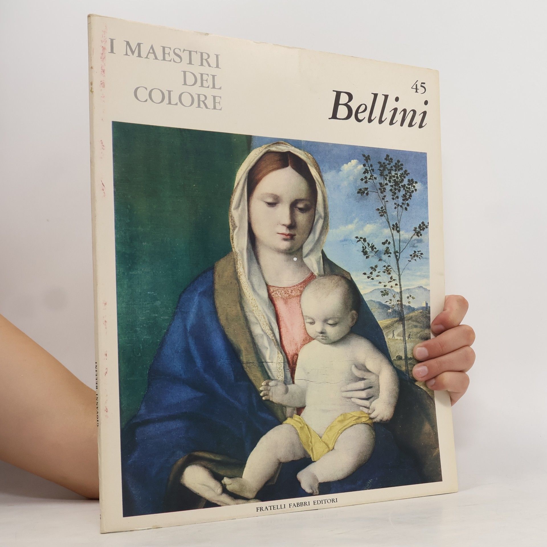 Autores varios I Maestri del Colore 45