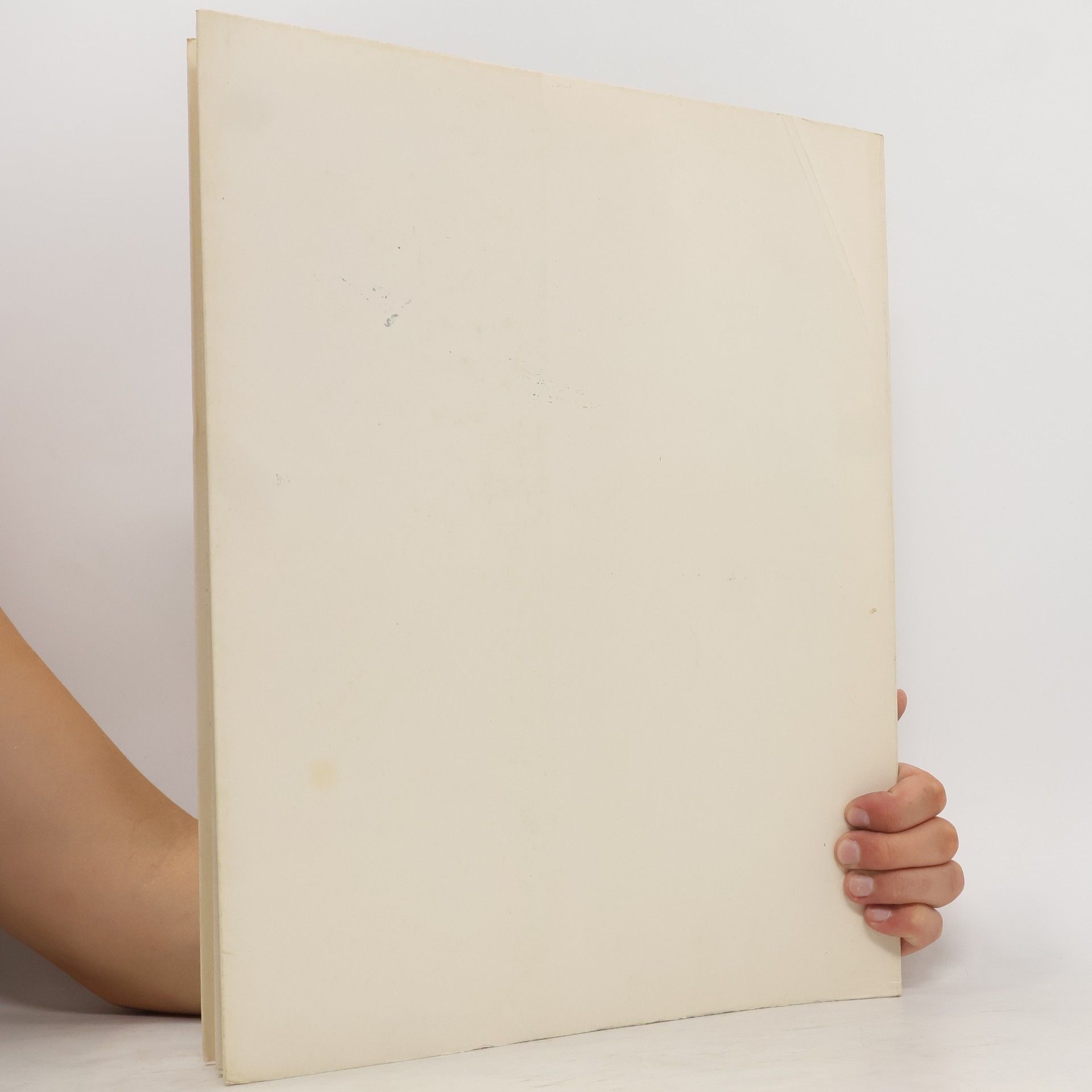 Autores varios I Maestri del Colore 45