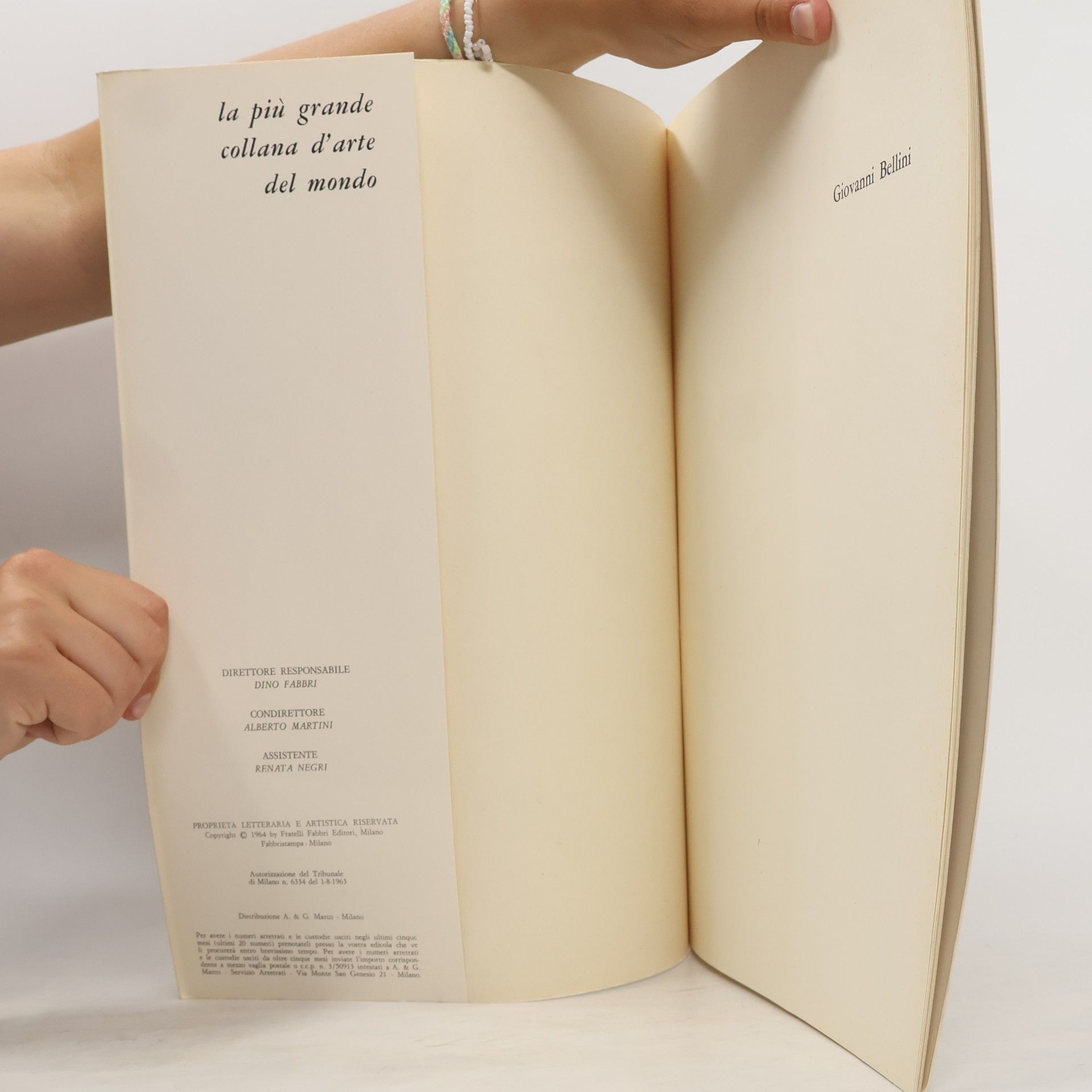 Autores varios I Maestri del Colore 45