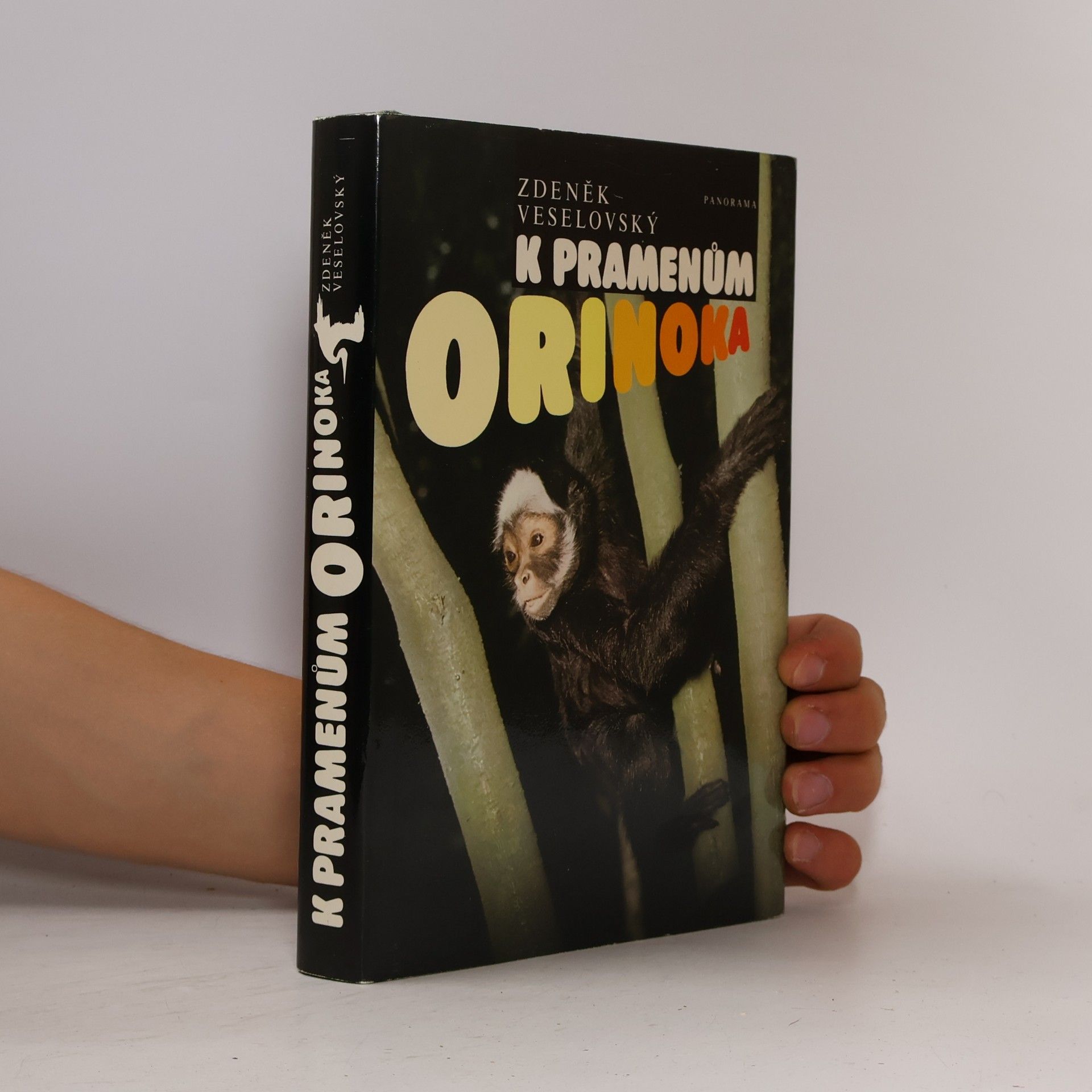 K pramenům Orinoka