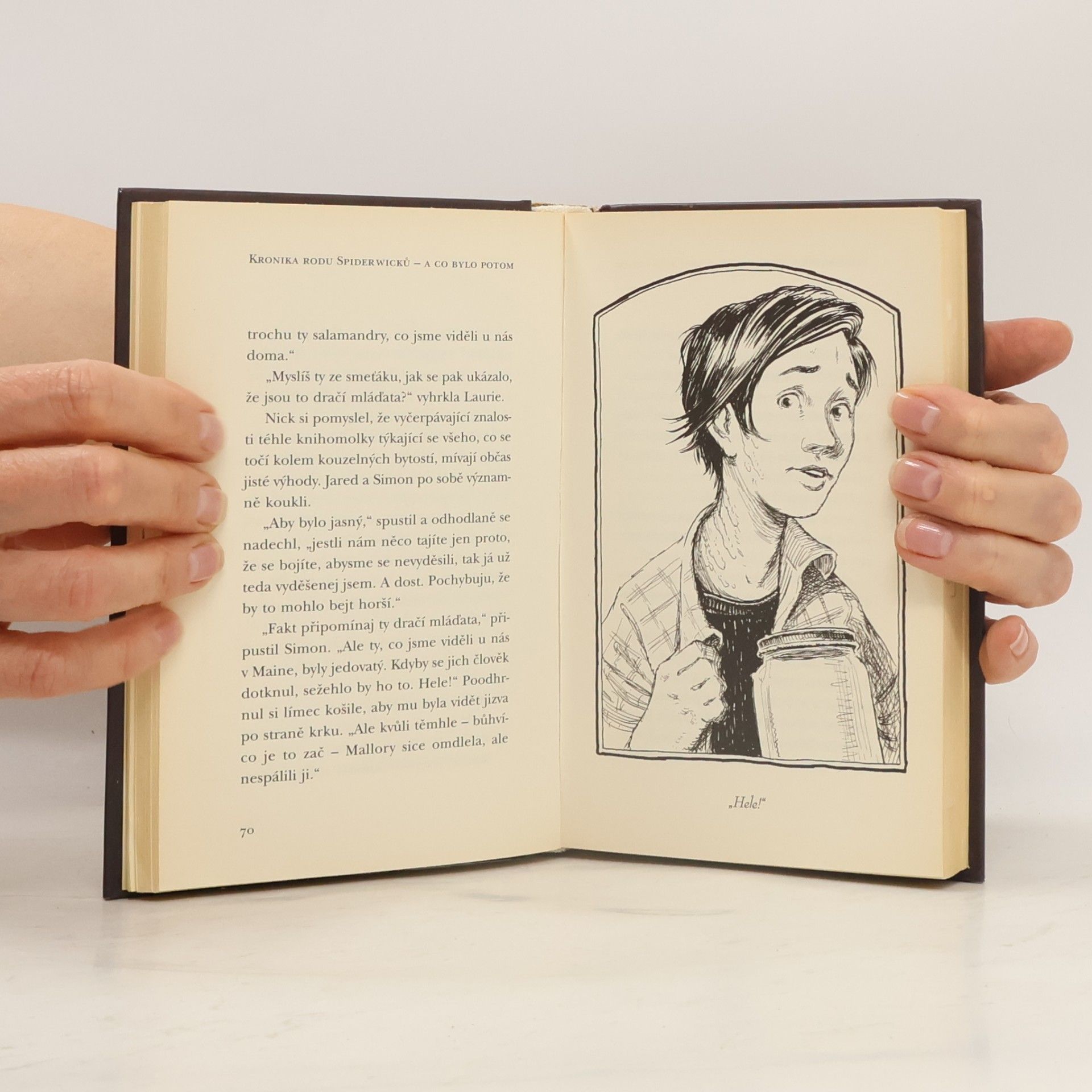 Tony DiTerlizzi Kronika rodu Spiderwicků - a co bylo potom. Kniha 3, Veličenstvo saň