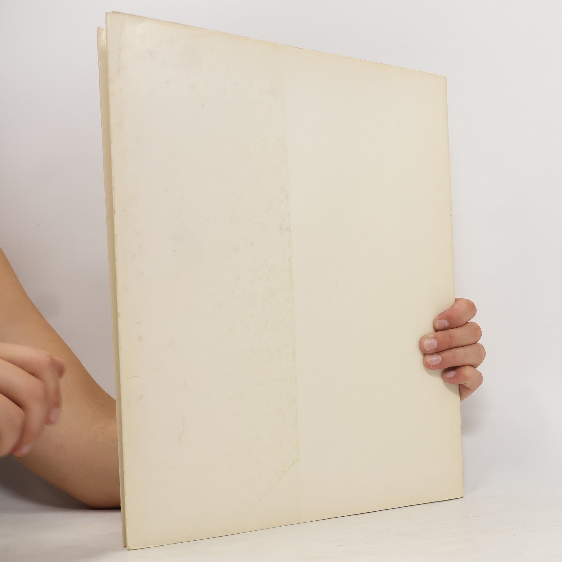 Autorenkollektiv I maestri del colore 73. Lorenzo Monaco