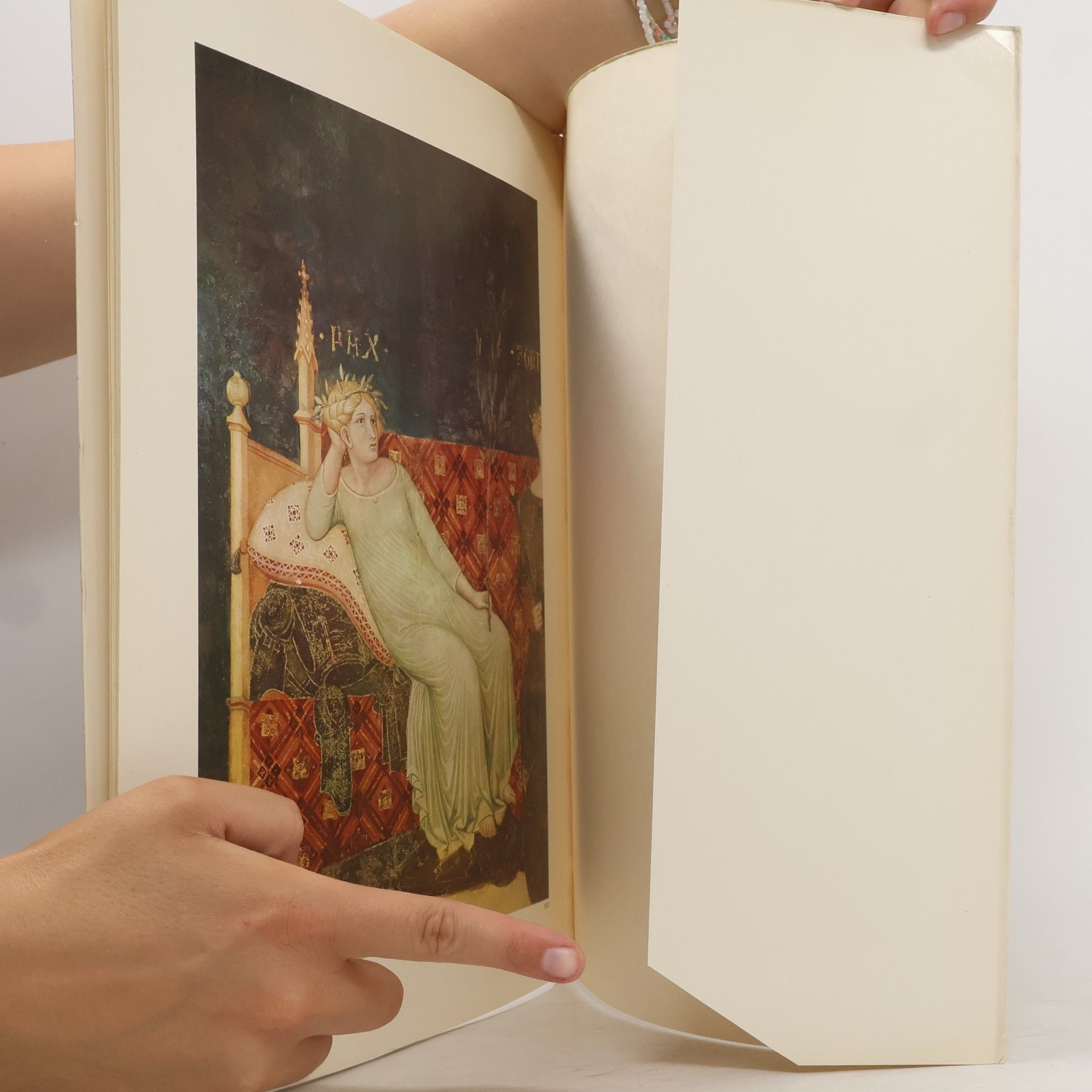 Autorenkollektiv I maestri del colore 71. I Lorenzetti