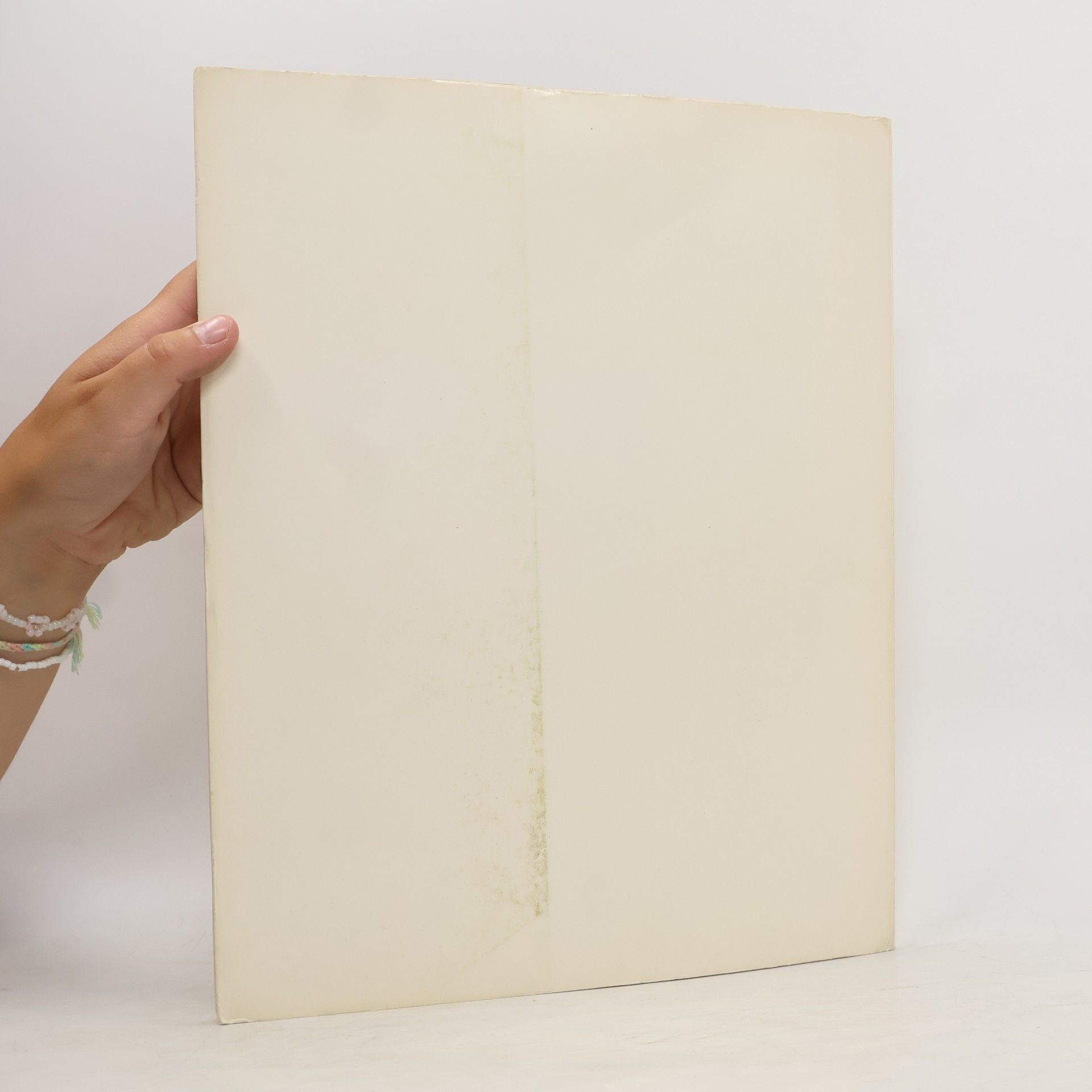 Autorenkollektiv I maestri del colore 71. I Lorenzetti