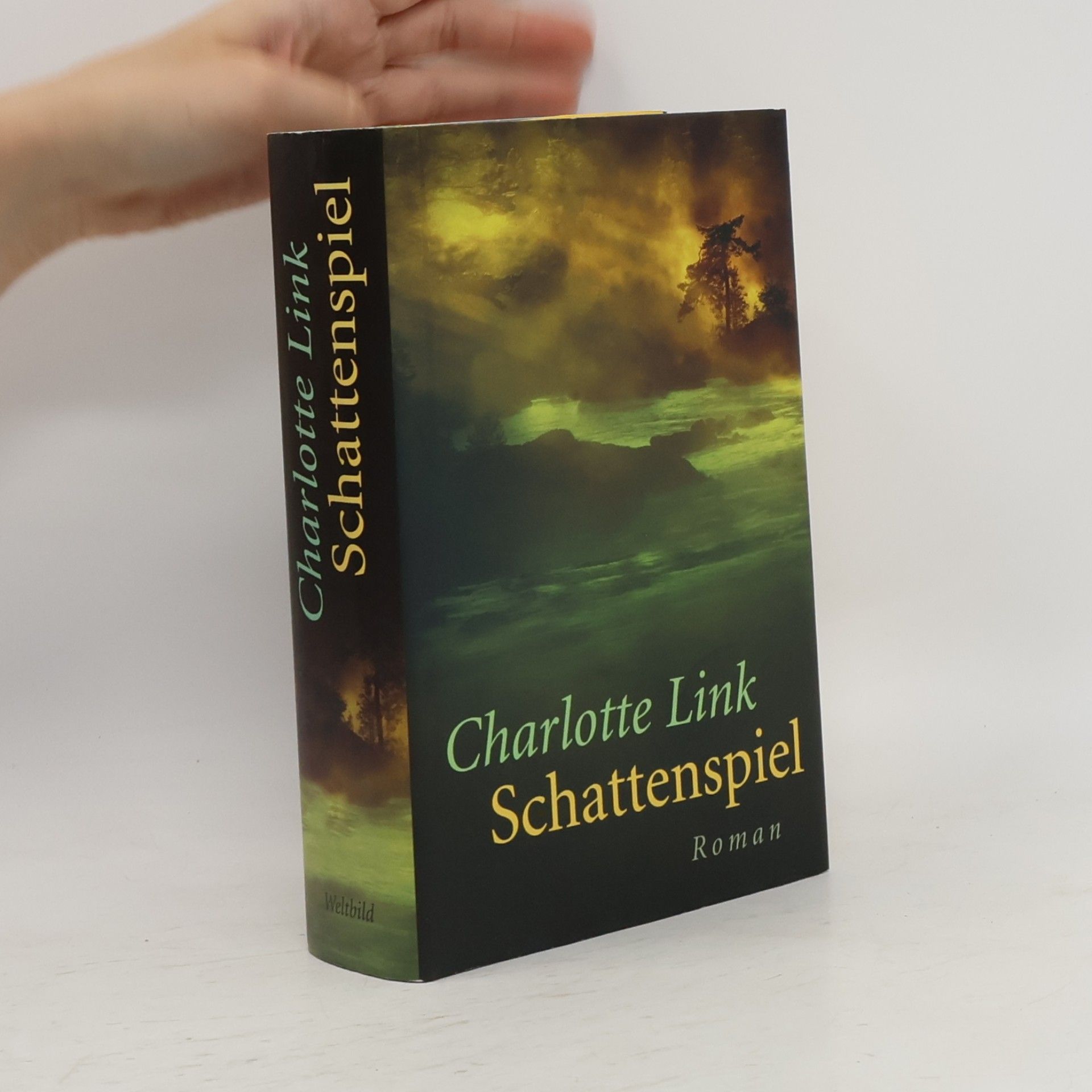 Charlotte Link Schattenspiel