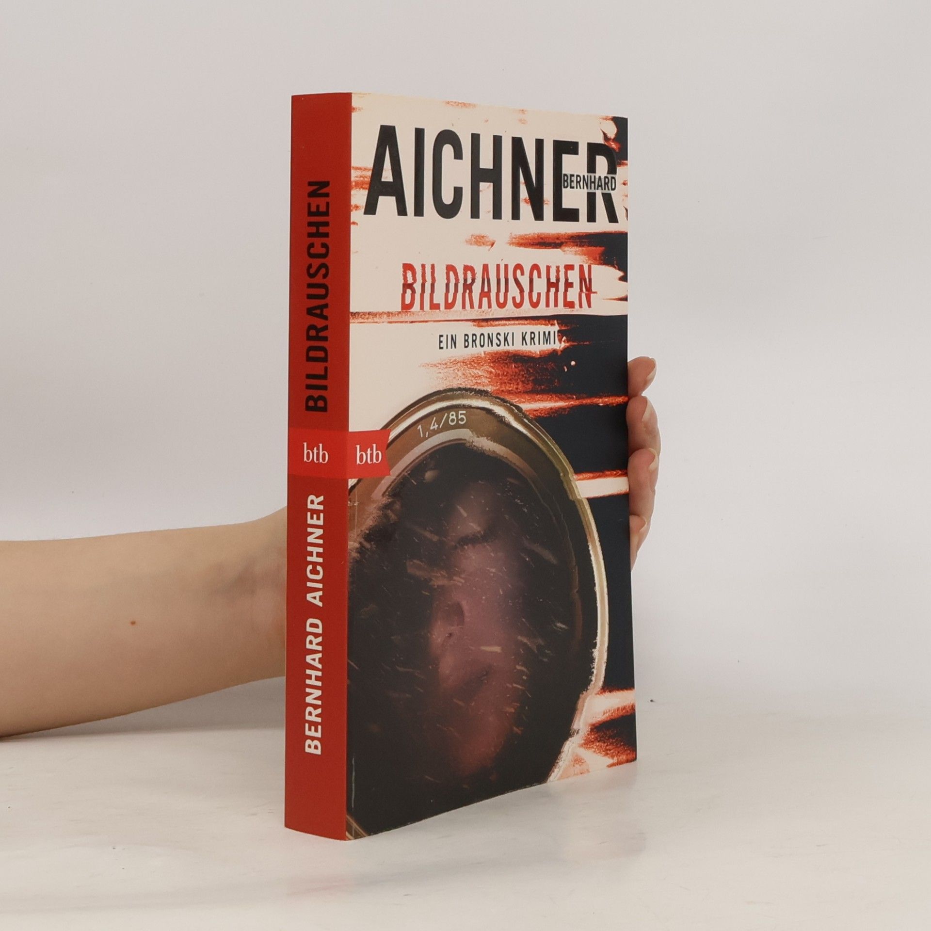 Bernhard Aichner Bildrauschen