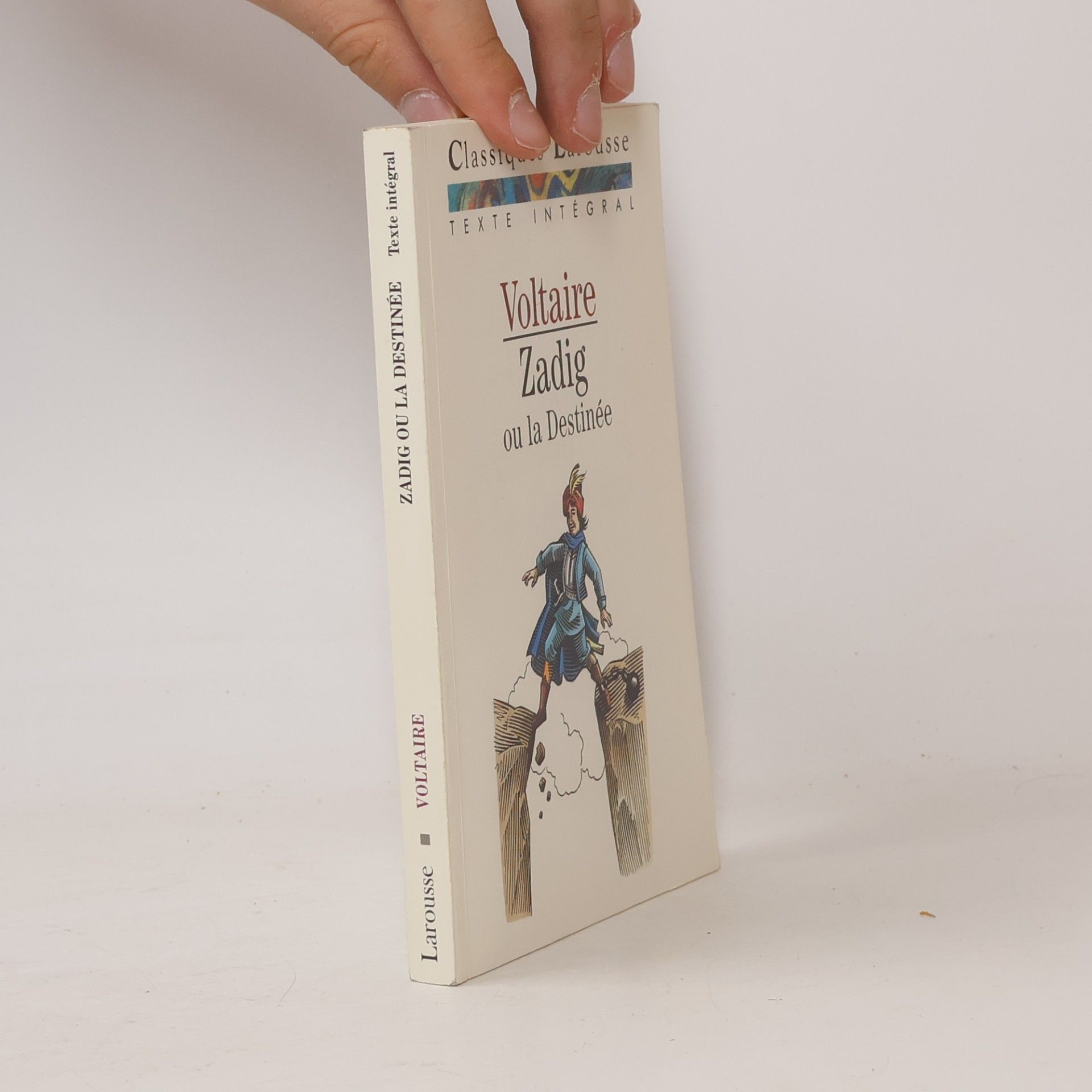 Voltaire Zadig ou la Destinée