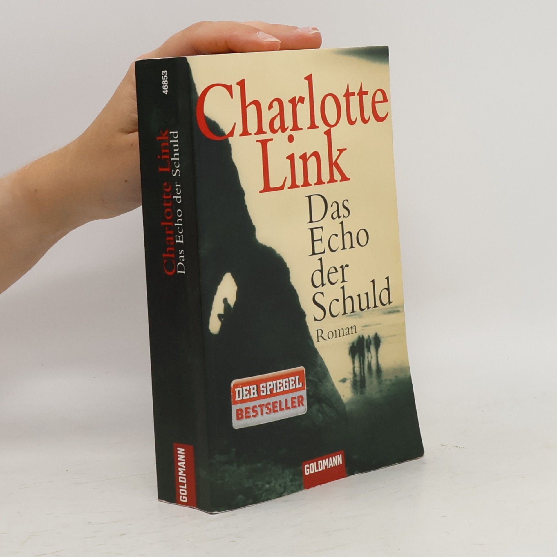 Charlotte Link Das Echo der Schuld