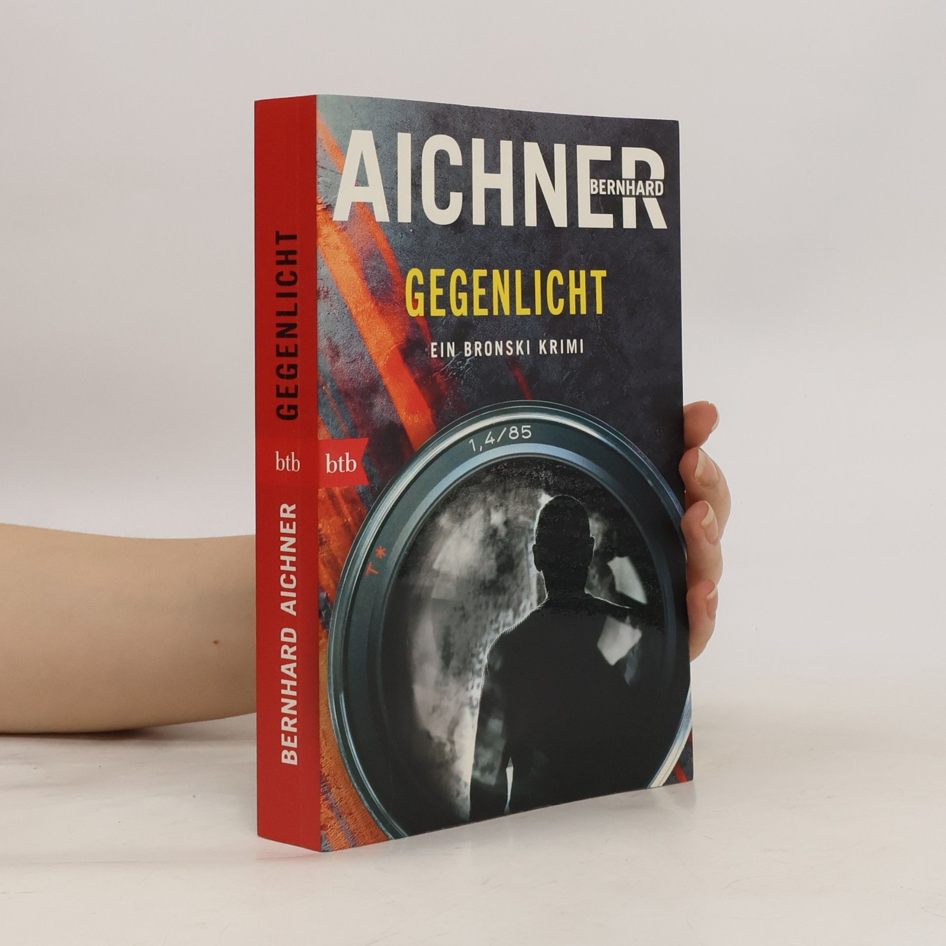 Bernhard Aichner Gegenlicht