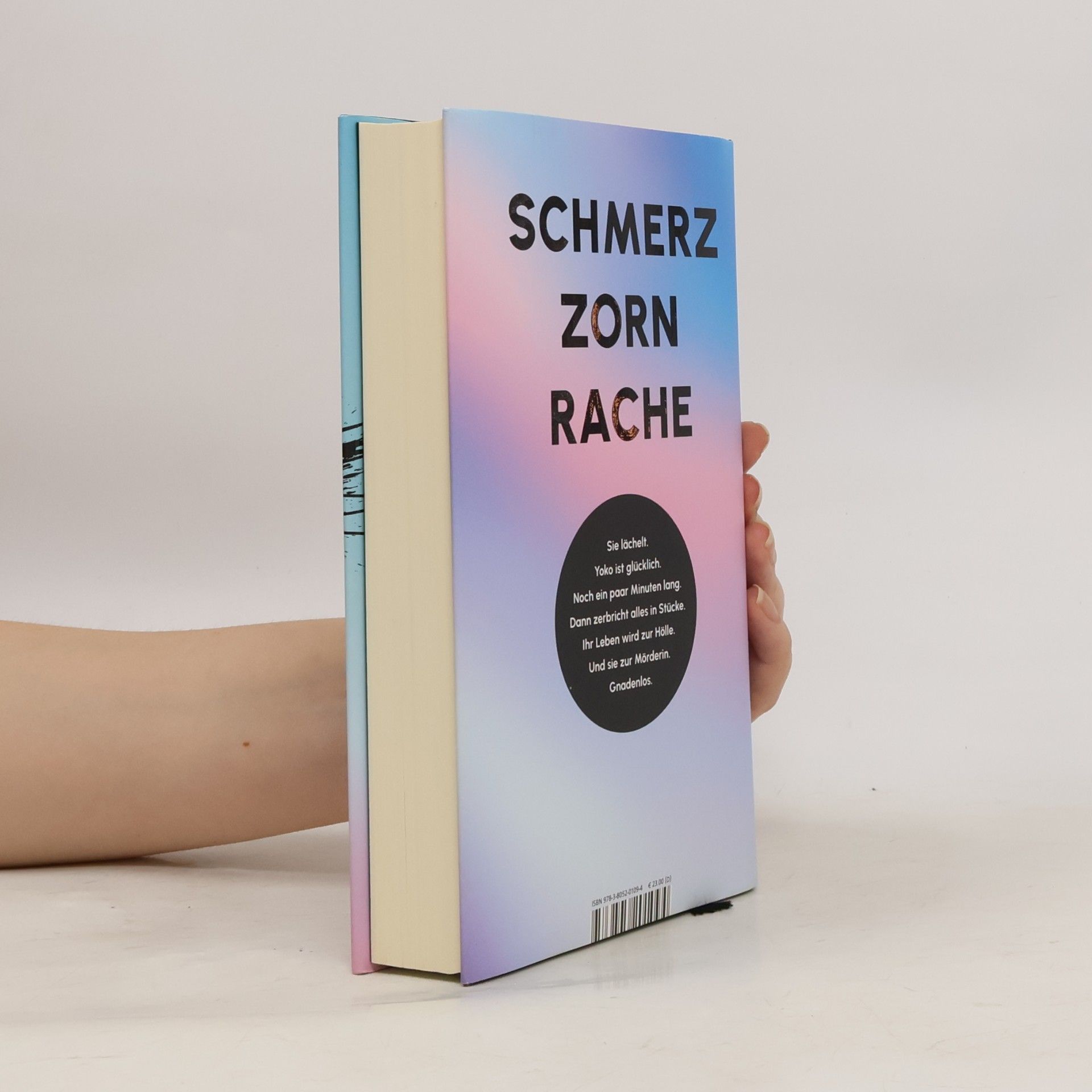 Bernhard Aichner Yoko