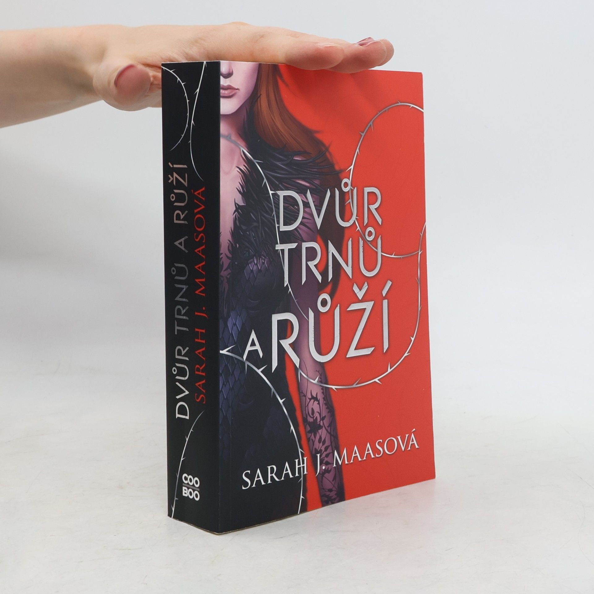 Sarah J. Maas Dvůr trnů a růží