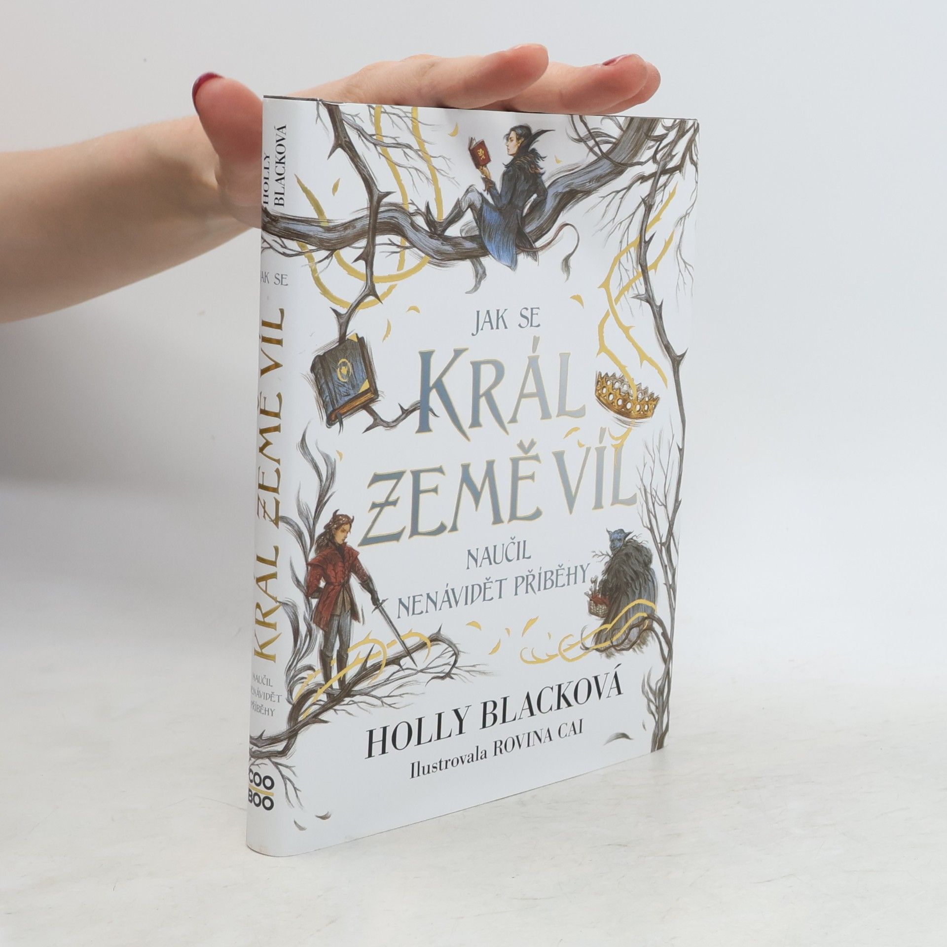 Holly Black Jak se král Země víl naučil nenávidět příběhy