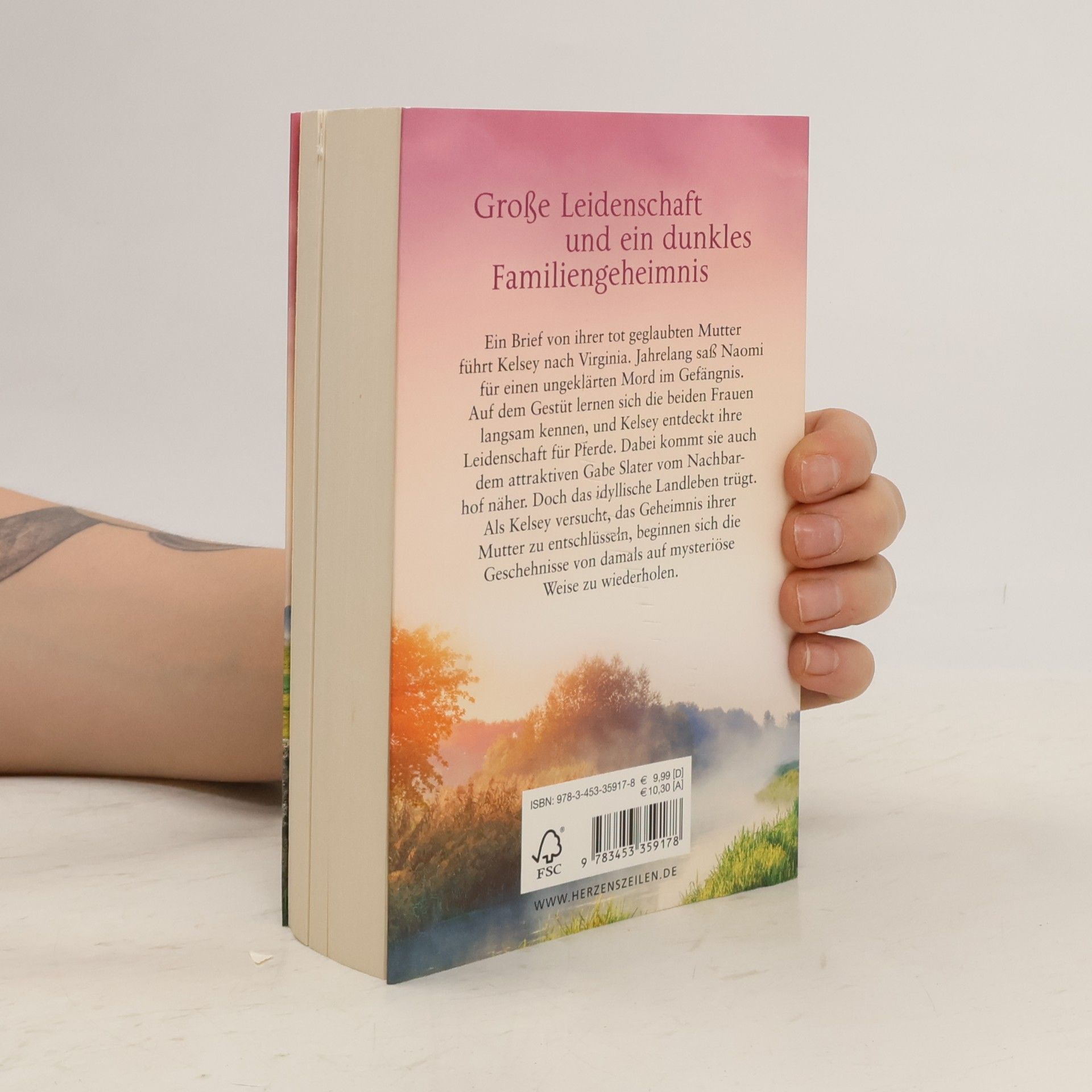 Nora Roberts Schatten über den Weiden