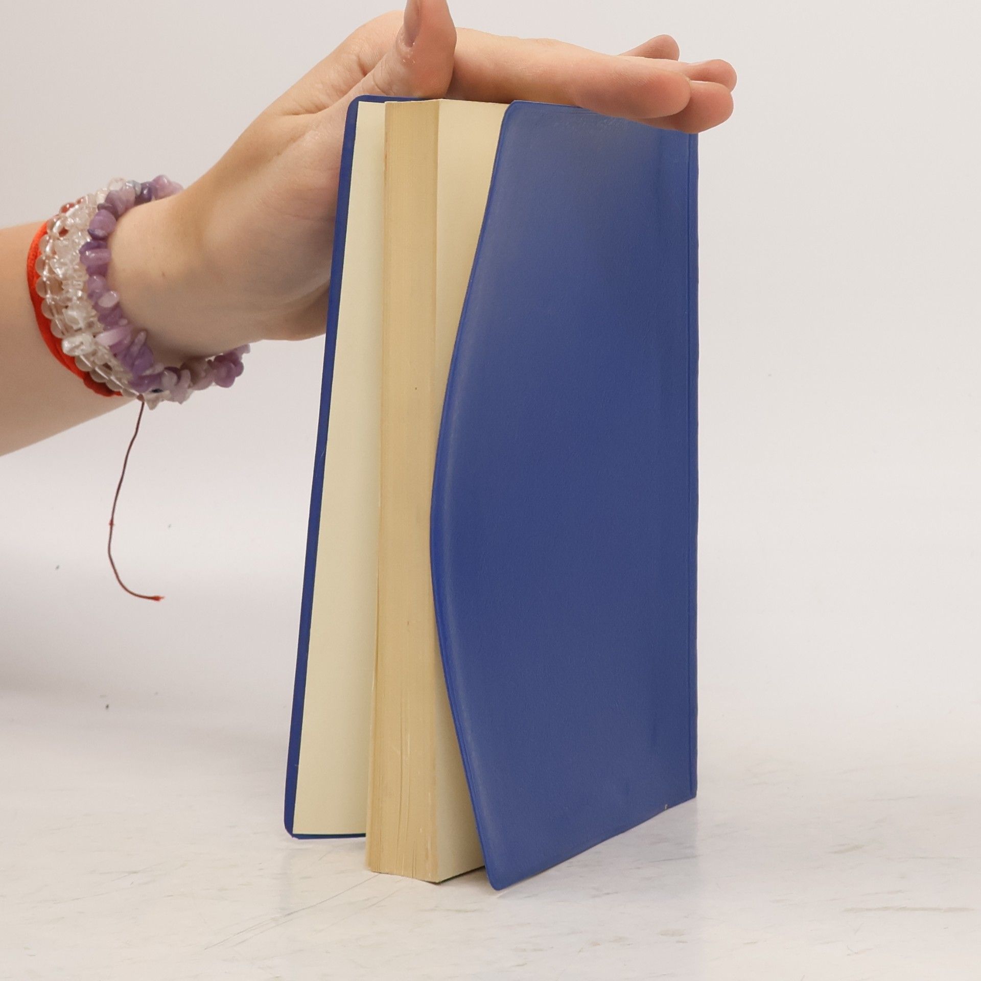 Heinz P. R. Seeliger Bakteriologisches Taschenbuch