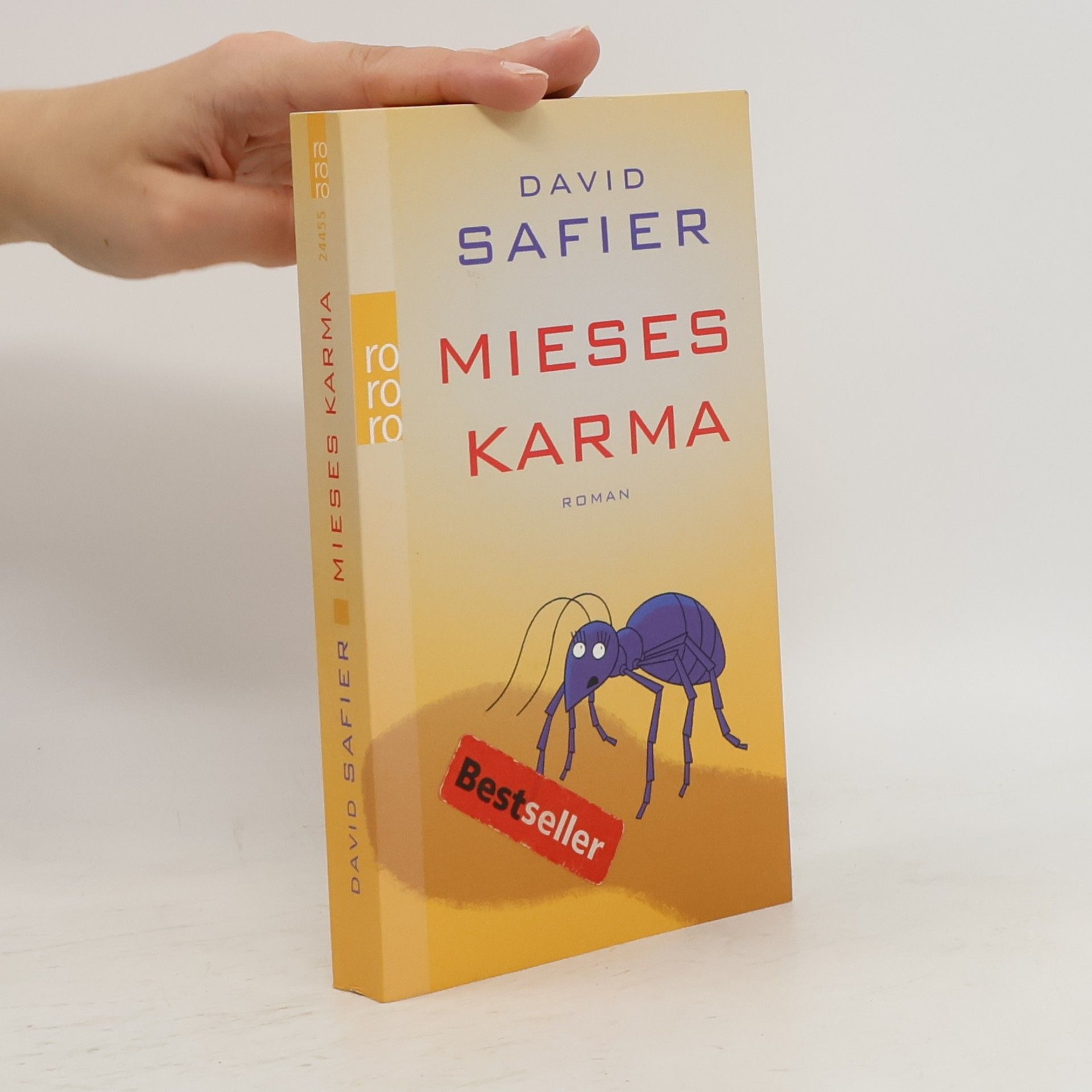 David Safier Mieses Karma