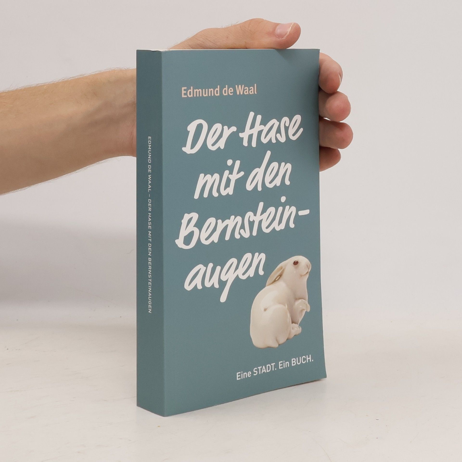 Edmund de Waal Der Hase mit den Bernsteinaugen