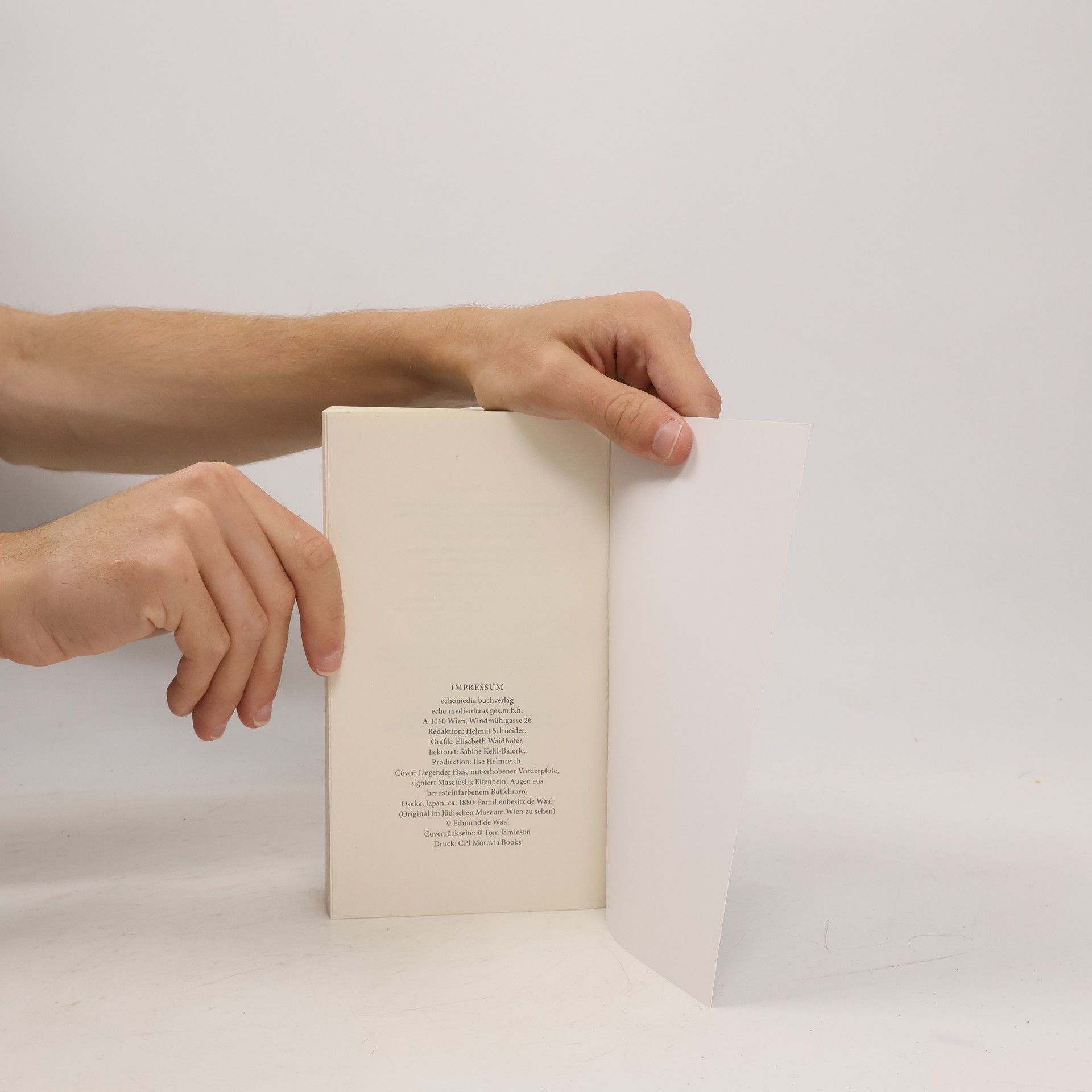 Edmund de Waal Der Hase mit den Bernsteinaugen