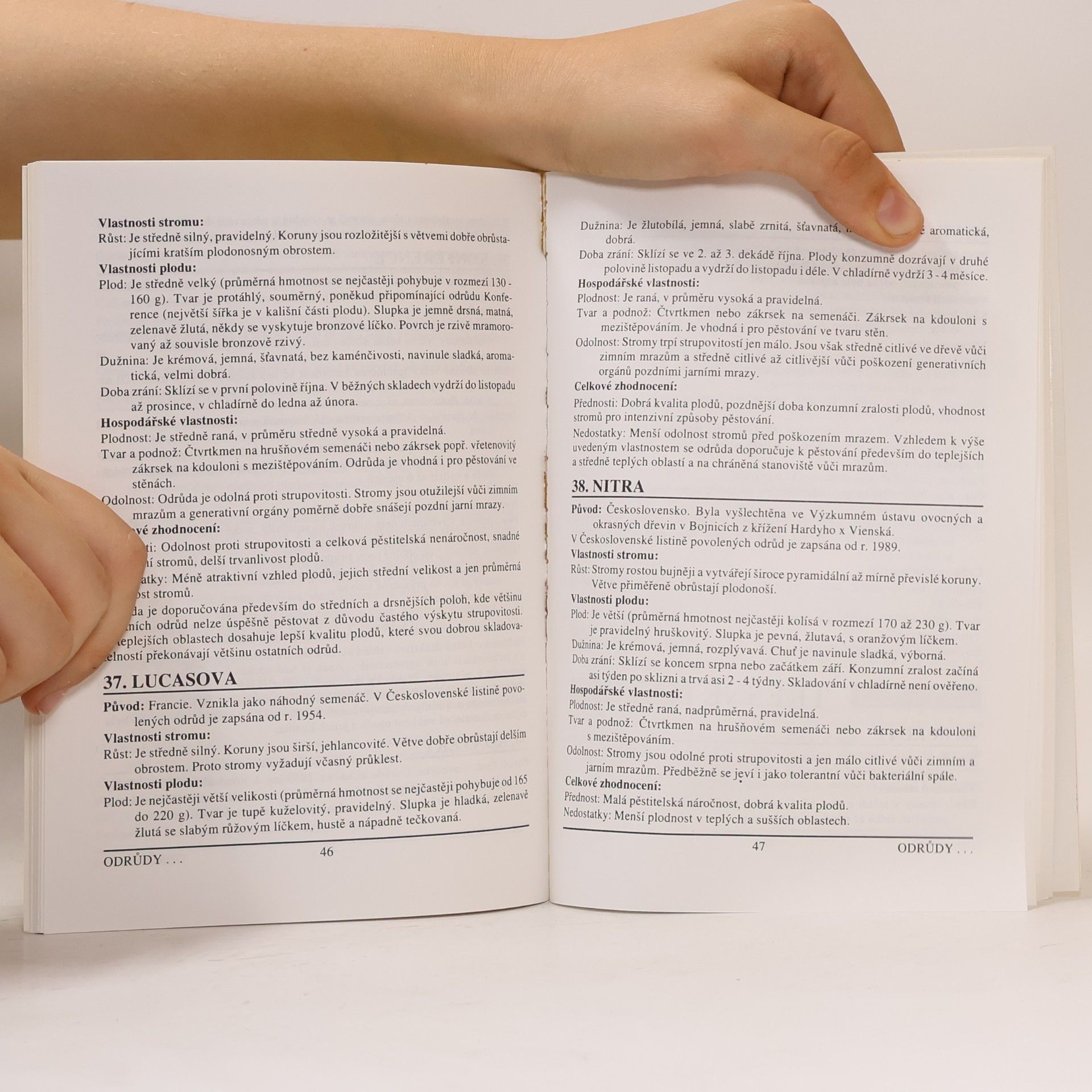 Autorenkollektiv Doporučené odrůdy ovocných plodin pro alternativní způsoby pěstování