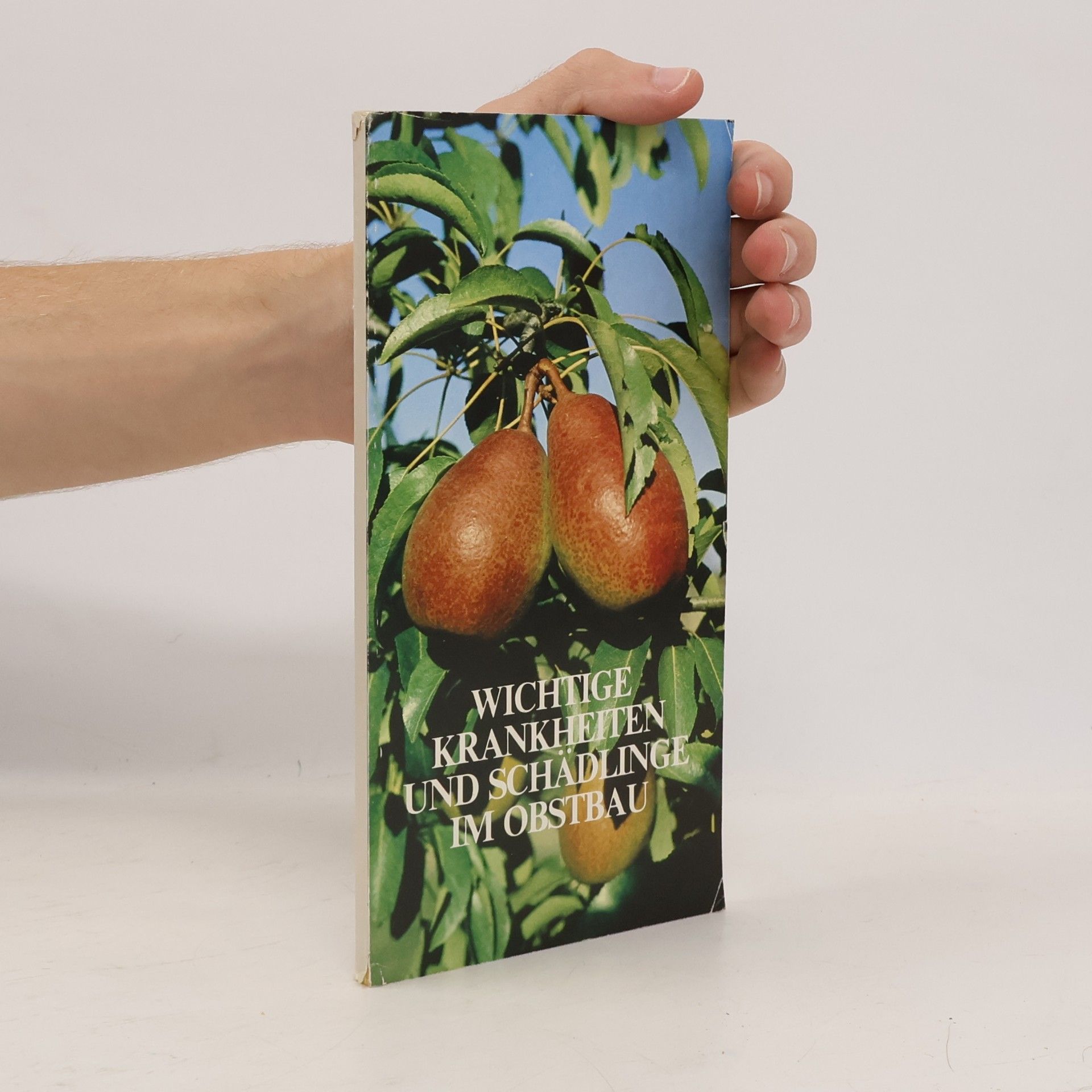 Autorenkollektiv Wichtige krankheiten und Schädlinge im Obstbau