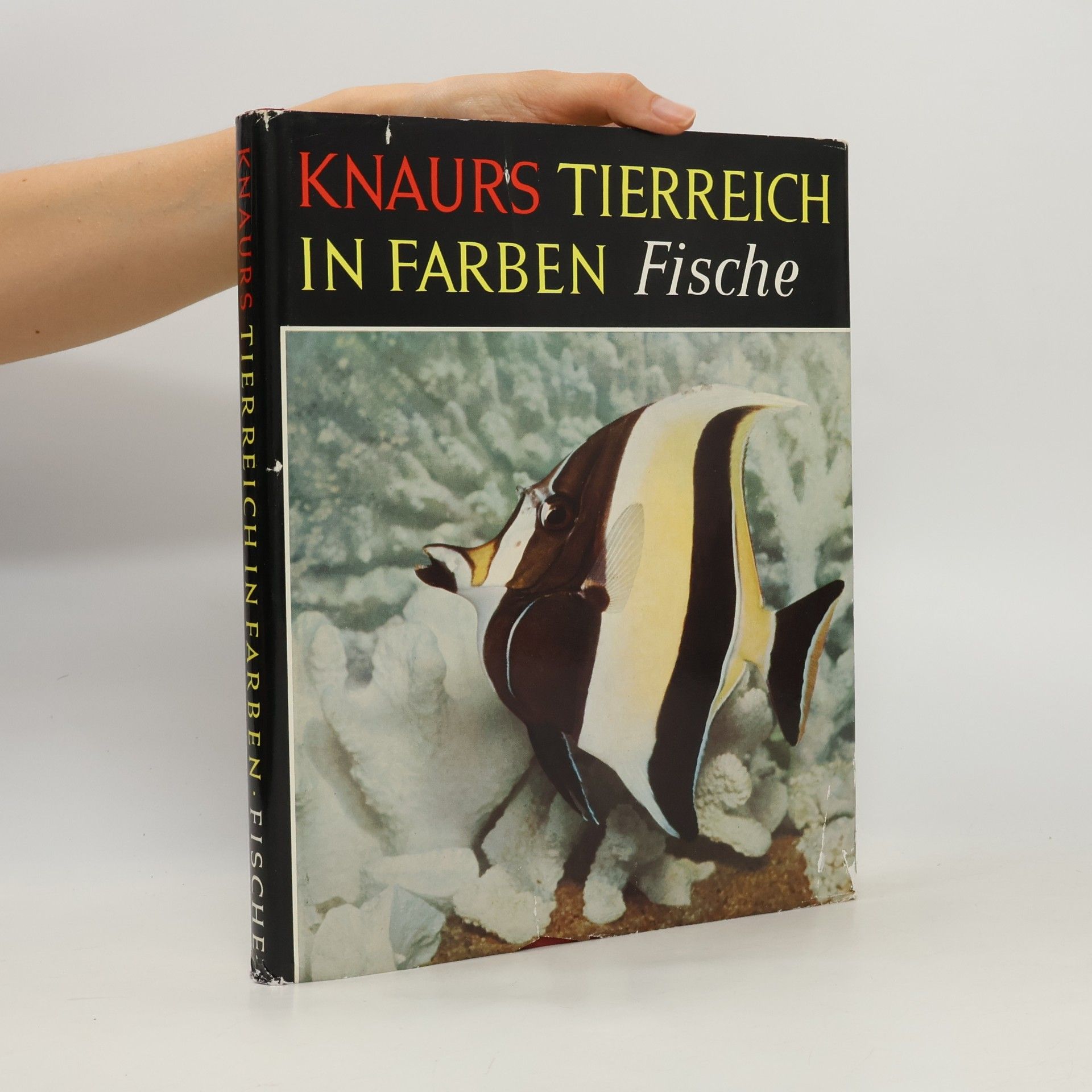 Earl Herald Knaurs Tierreich in Farben: Fische