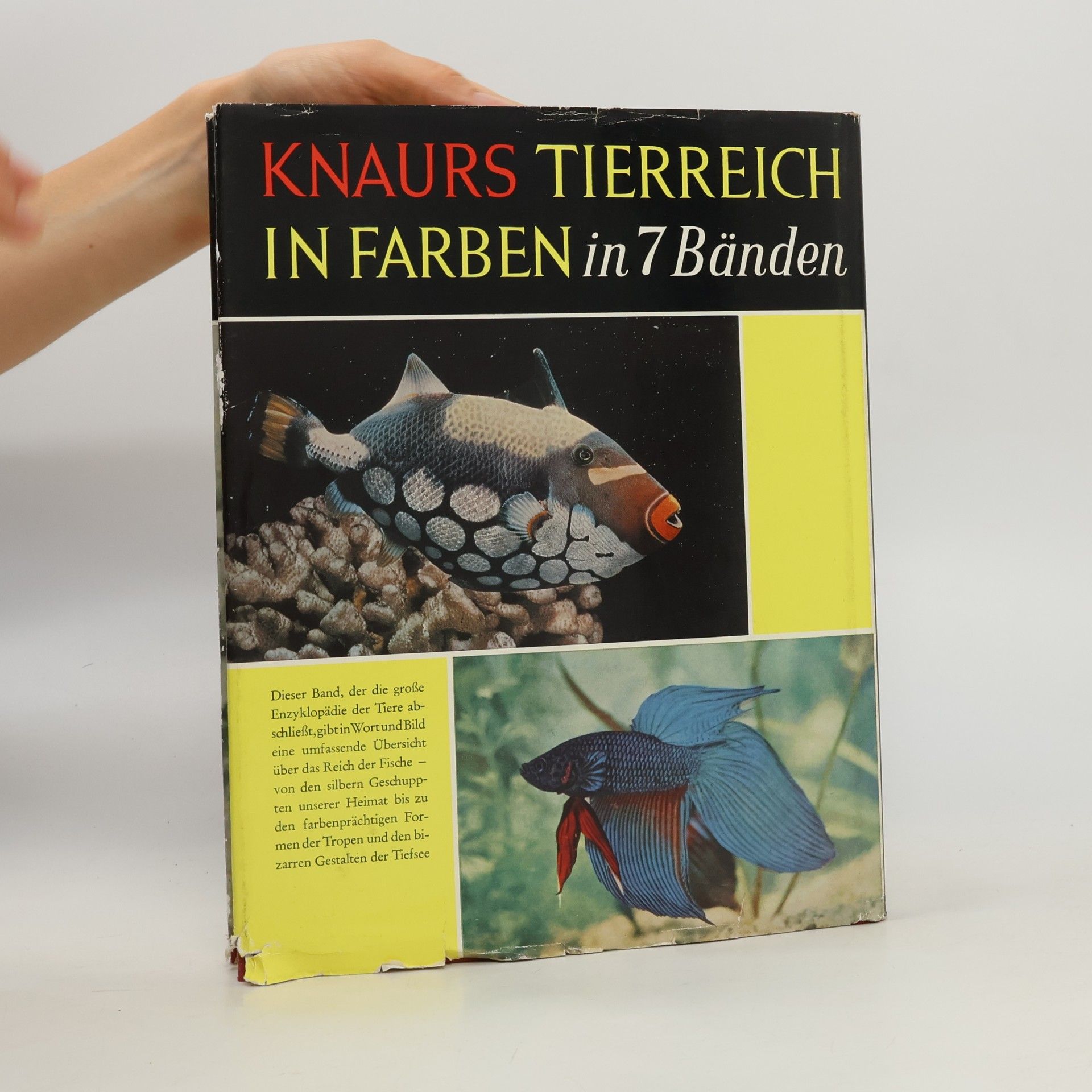 Earl Herald Knaurs Tierreich in Farben: Fische