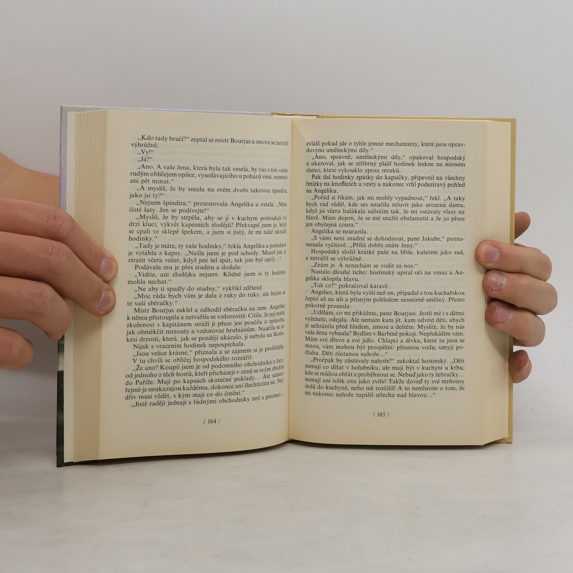 Anne Golon Angelika 2 – Cesta do Versailles