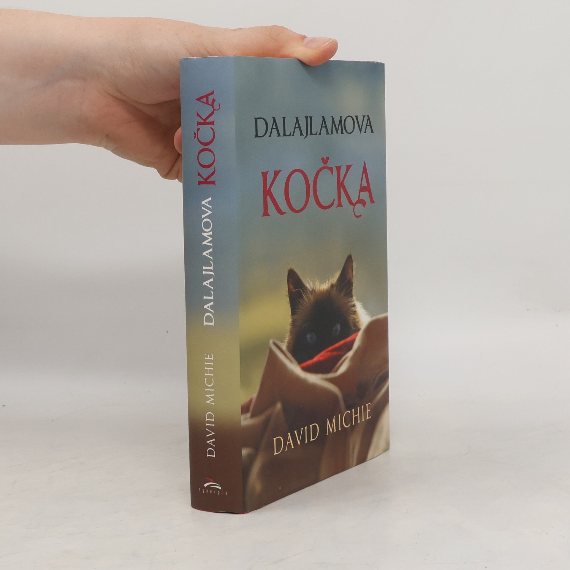 David Michie Dalajlamova kočka