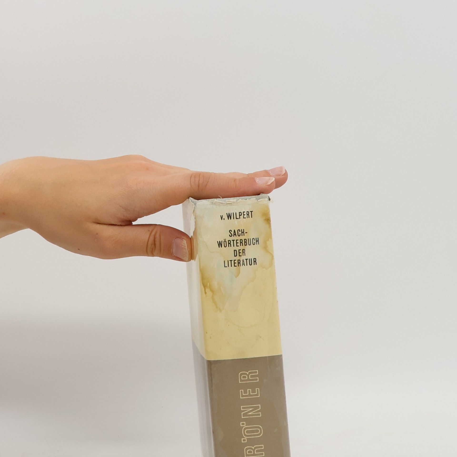 Gero von Wilpert Sachwörterbuch der Literatur