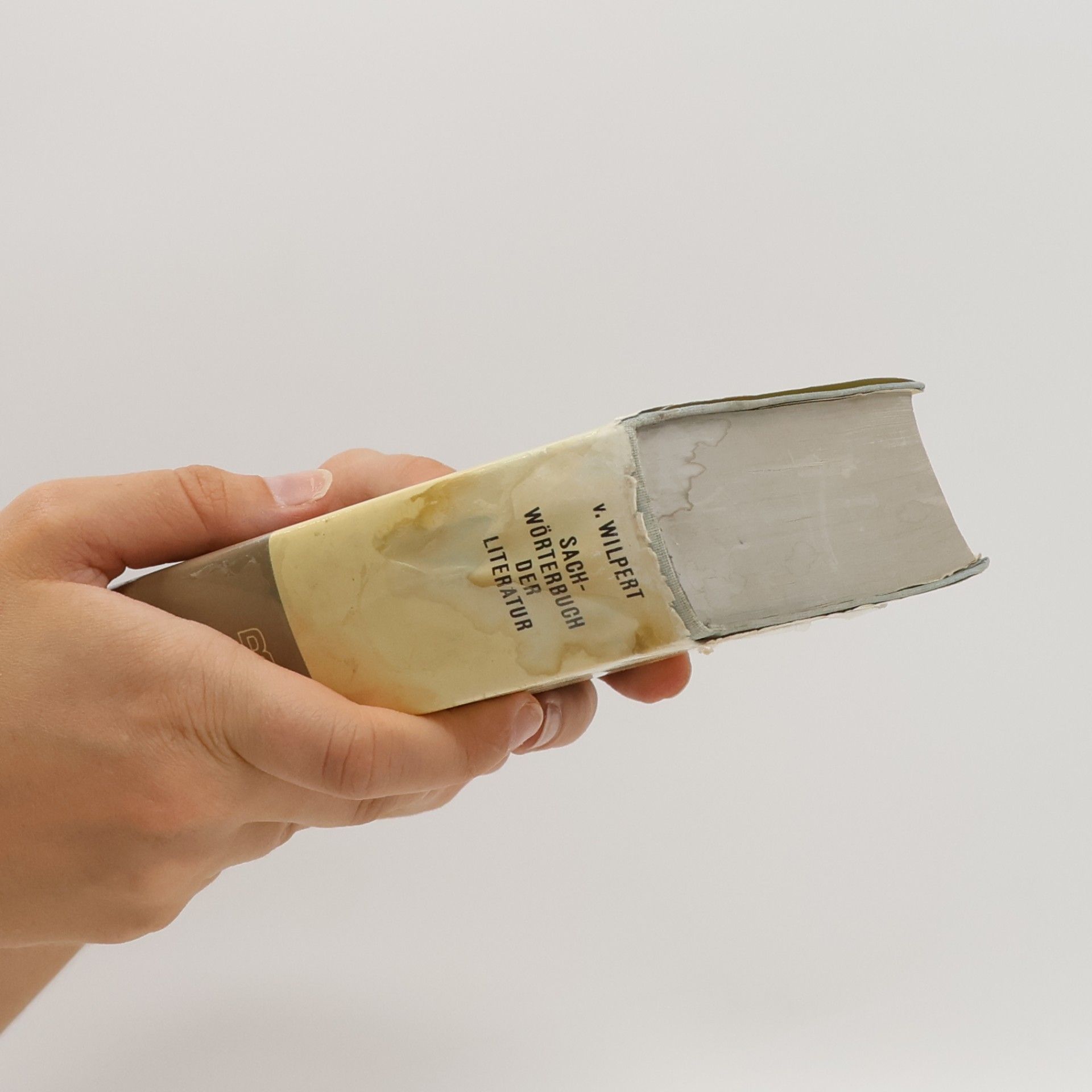 Gero von Wilpert Sachwörterbuch der Literatur