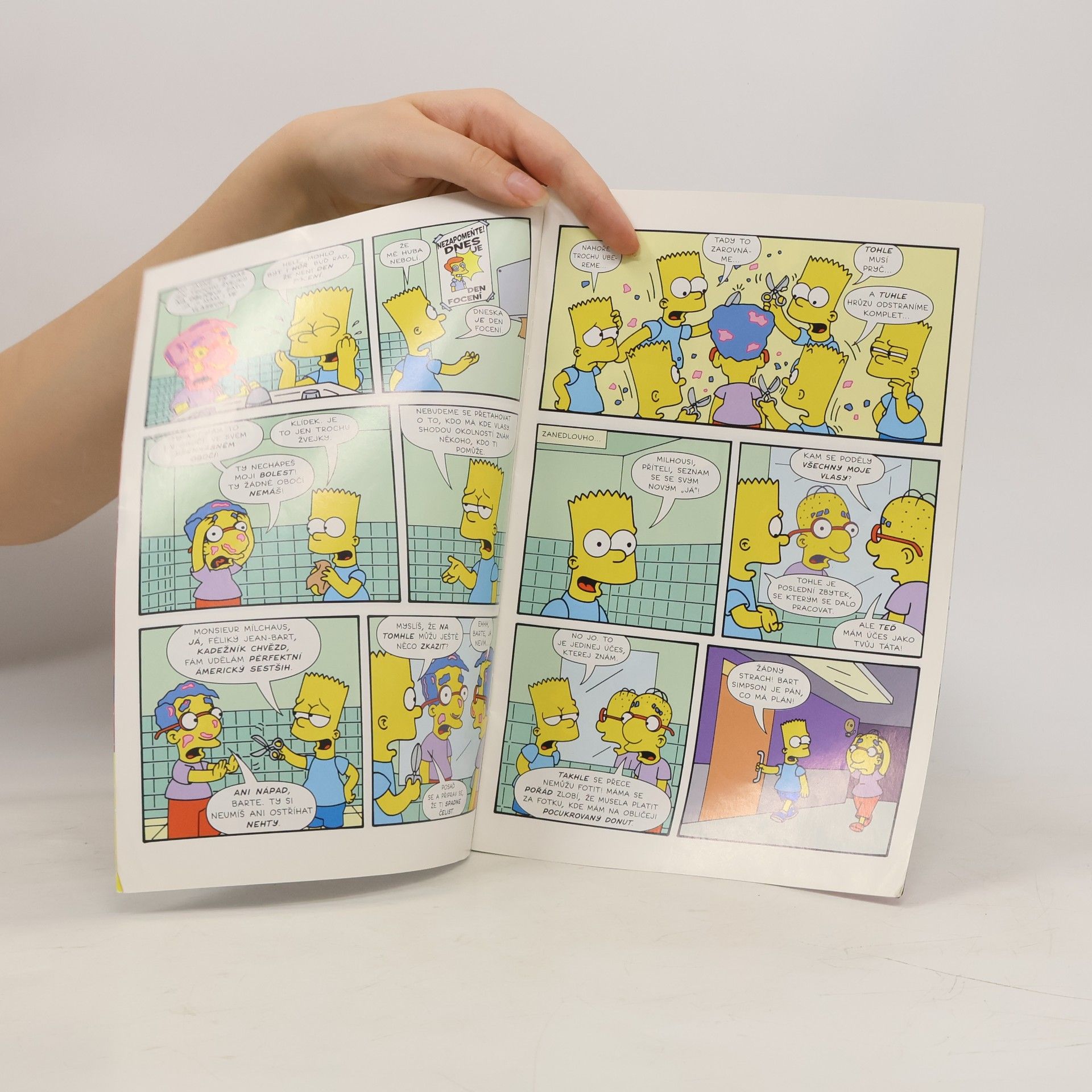 Matt Groening Simpsonovi - Bart Simpson pachatel neplech - Comics 12/2014